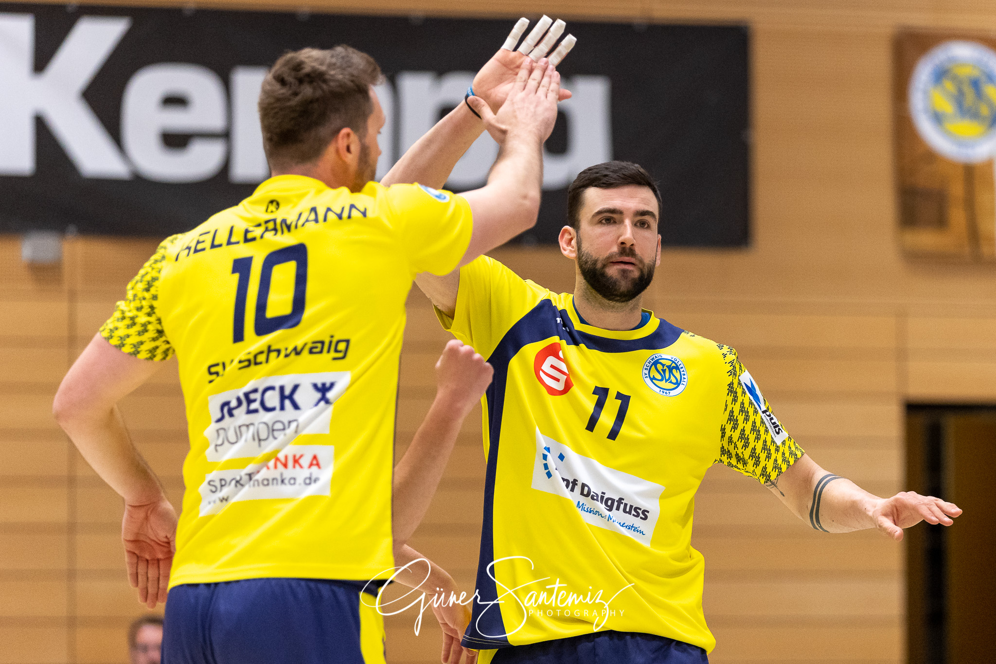 TV/DJK Hammelburg vs. SV Schwaig - Volleyball - 2. Bundesliga -