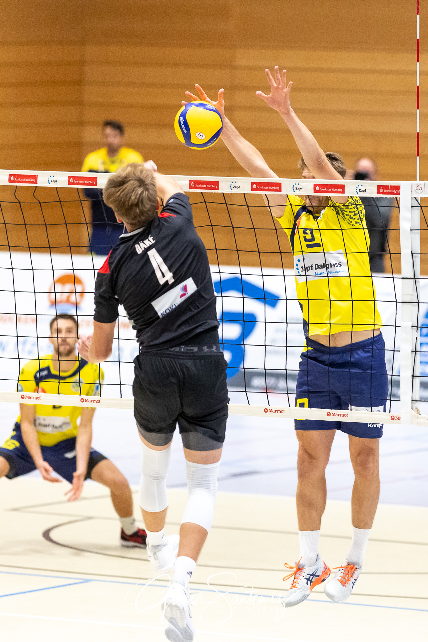 SV Schwaig vs. TuS Kriftel - Volleyball - 2. Bundesliga Sued - 1