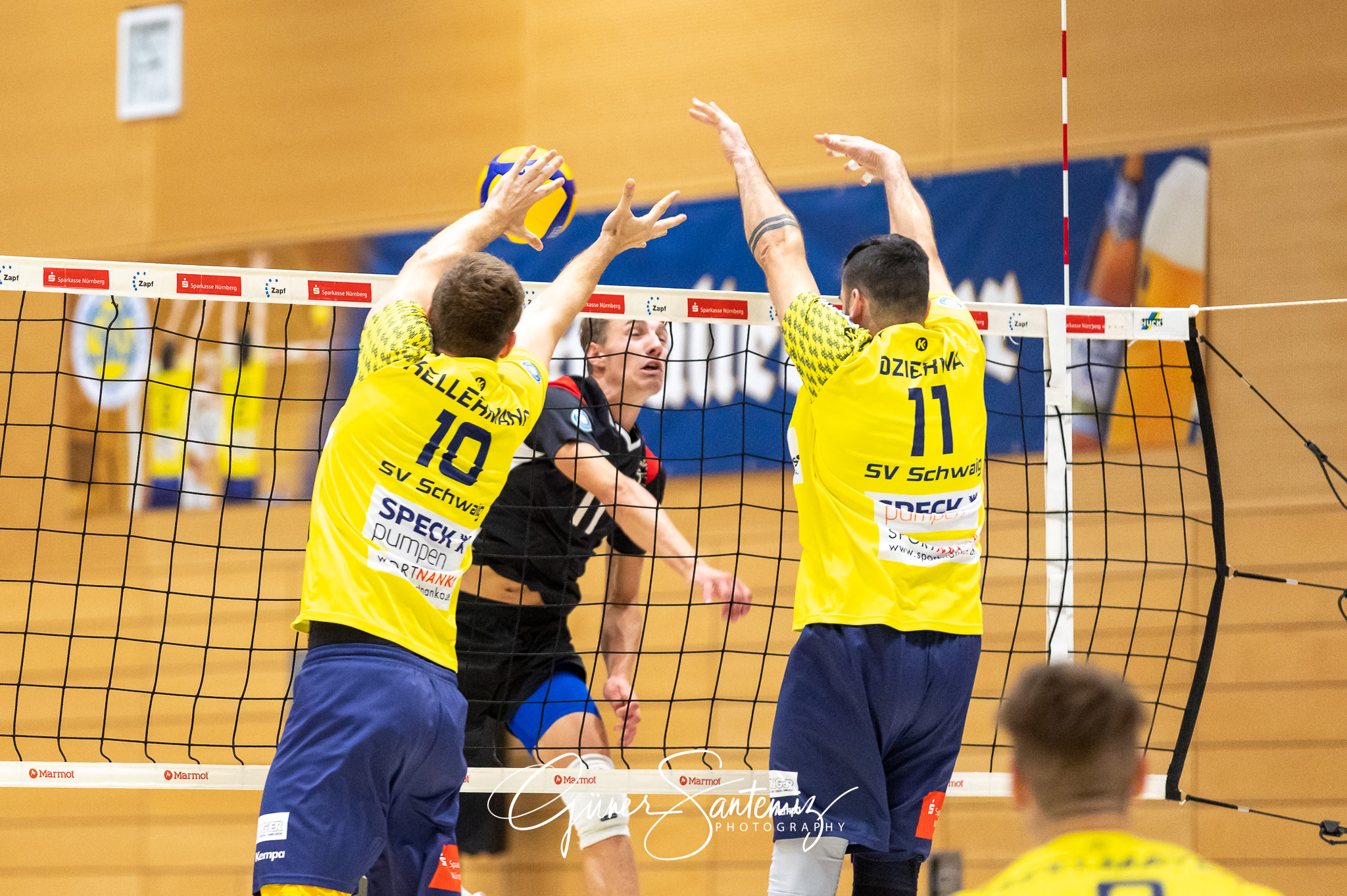 SV Schwaig vs. TuS Kriftel - Volleyball - 2. Bundesliga Sued - 1