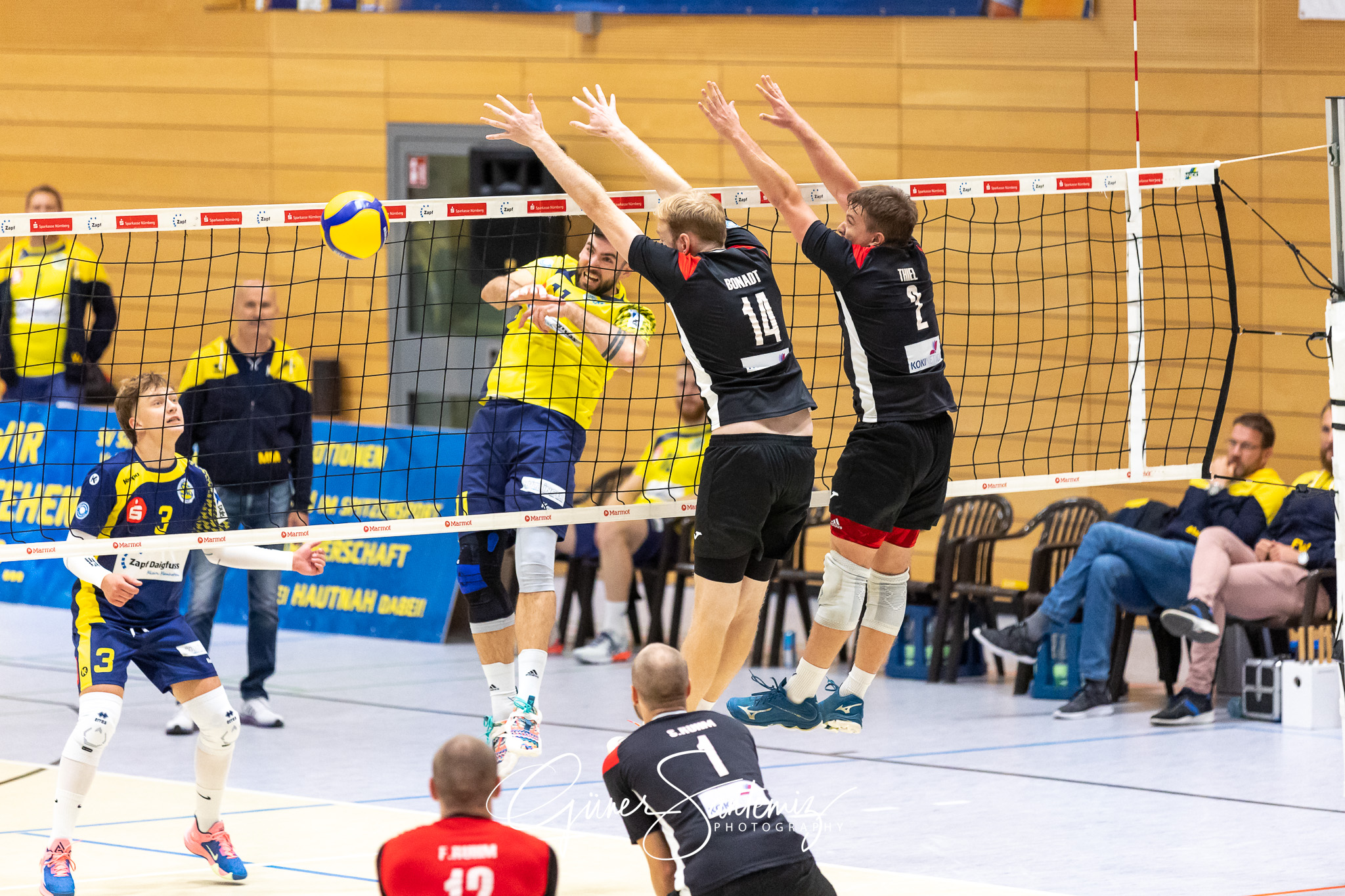 SV Schwaig vs. TuS Kriftel - Volleyball - 2. Bundesliga Sued - 1