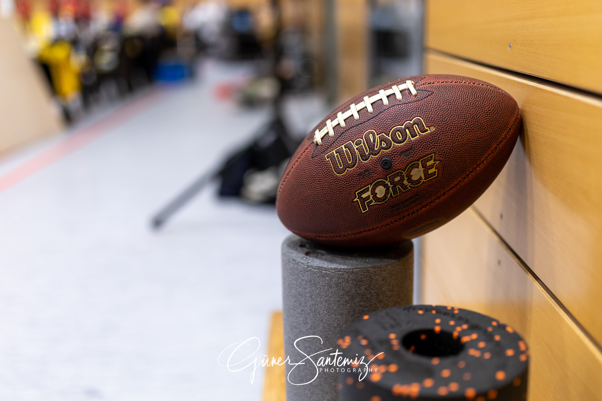 SV Schwaig - Baden Volleys SSC Karlsruhe - Volleyball - 2. Bunde