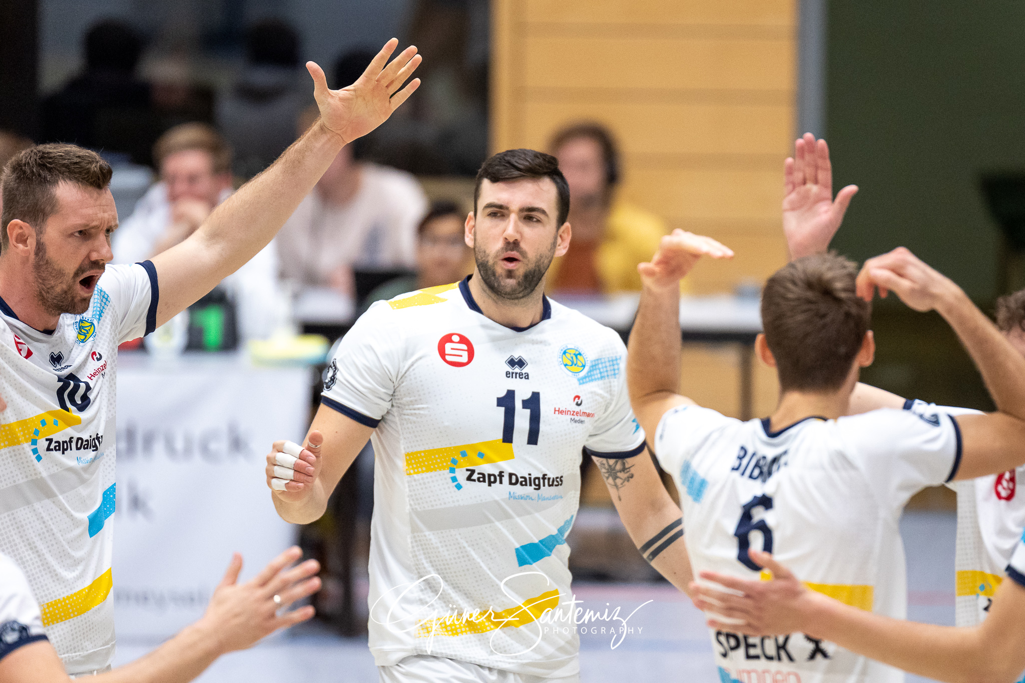 SV Schwaig - Baden Volleys SSC Karlsruhe - Volleyball - 2. Bunde