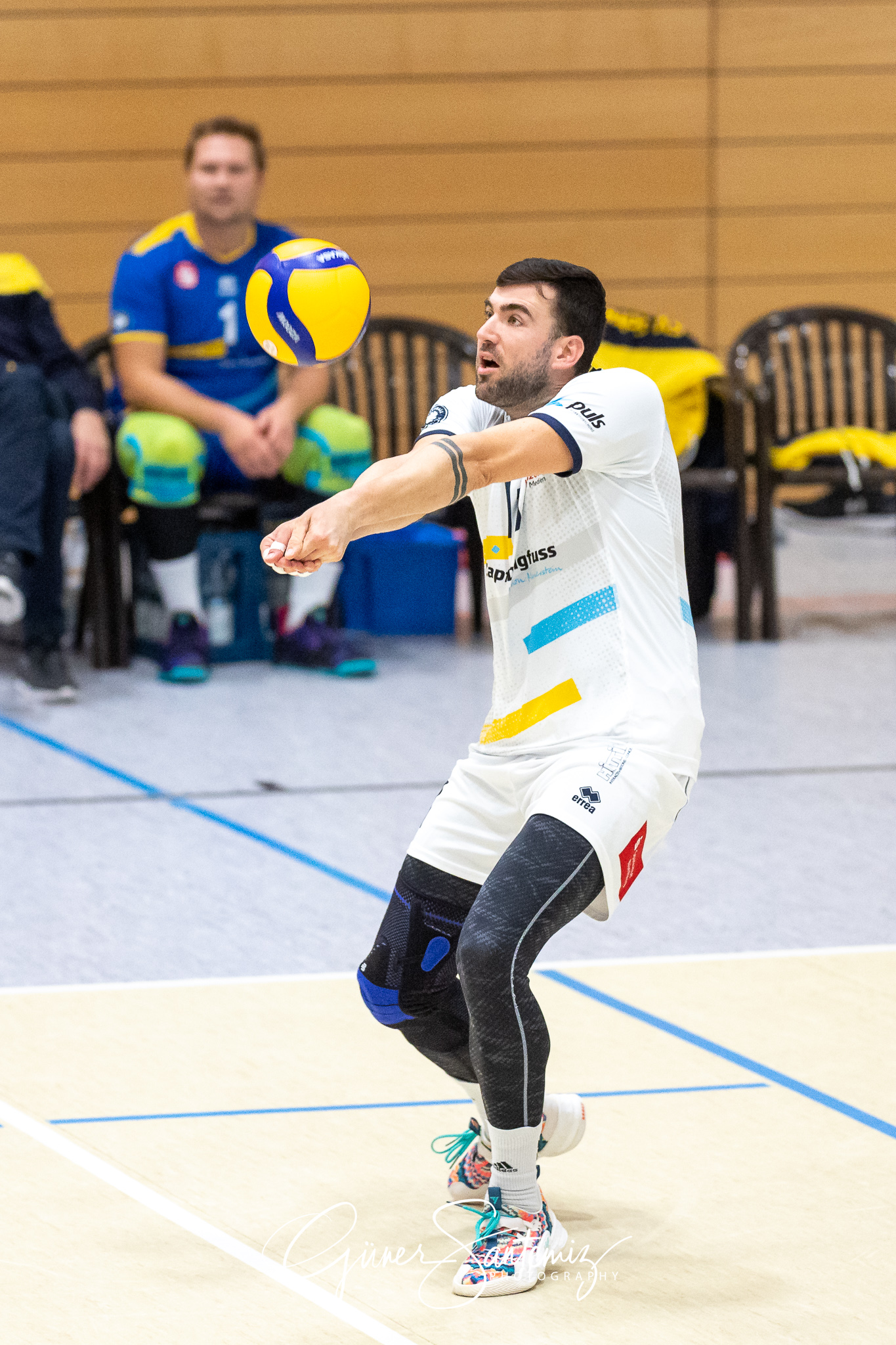 SV Schwaig - Baden Volleys SSC Karlsruhe - Volleyball - 2. Bunde