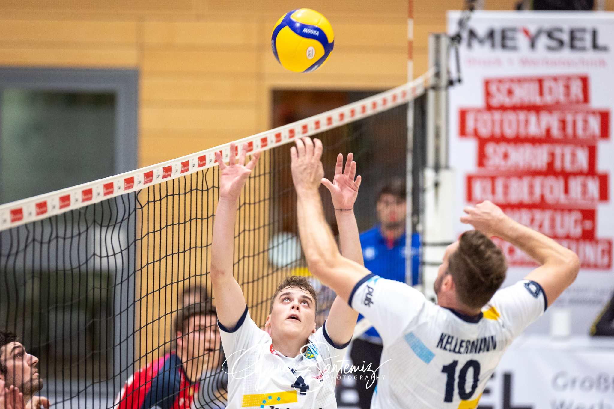 SV Schwaig - Baden Volleys SSC Karlsruhe - Volleyball - 2. Bunde