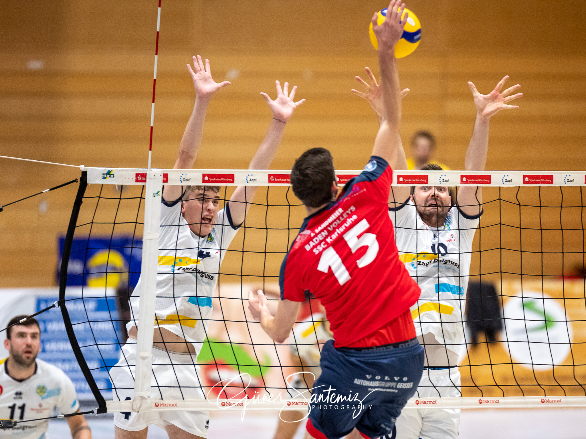 SV Schwaig - Baden Volleys SSC Karlsruhe - Volleyball - 2. Bunde