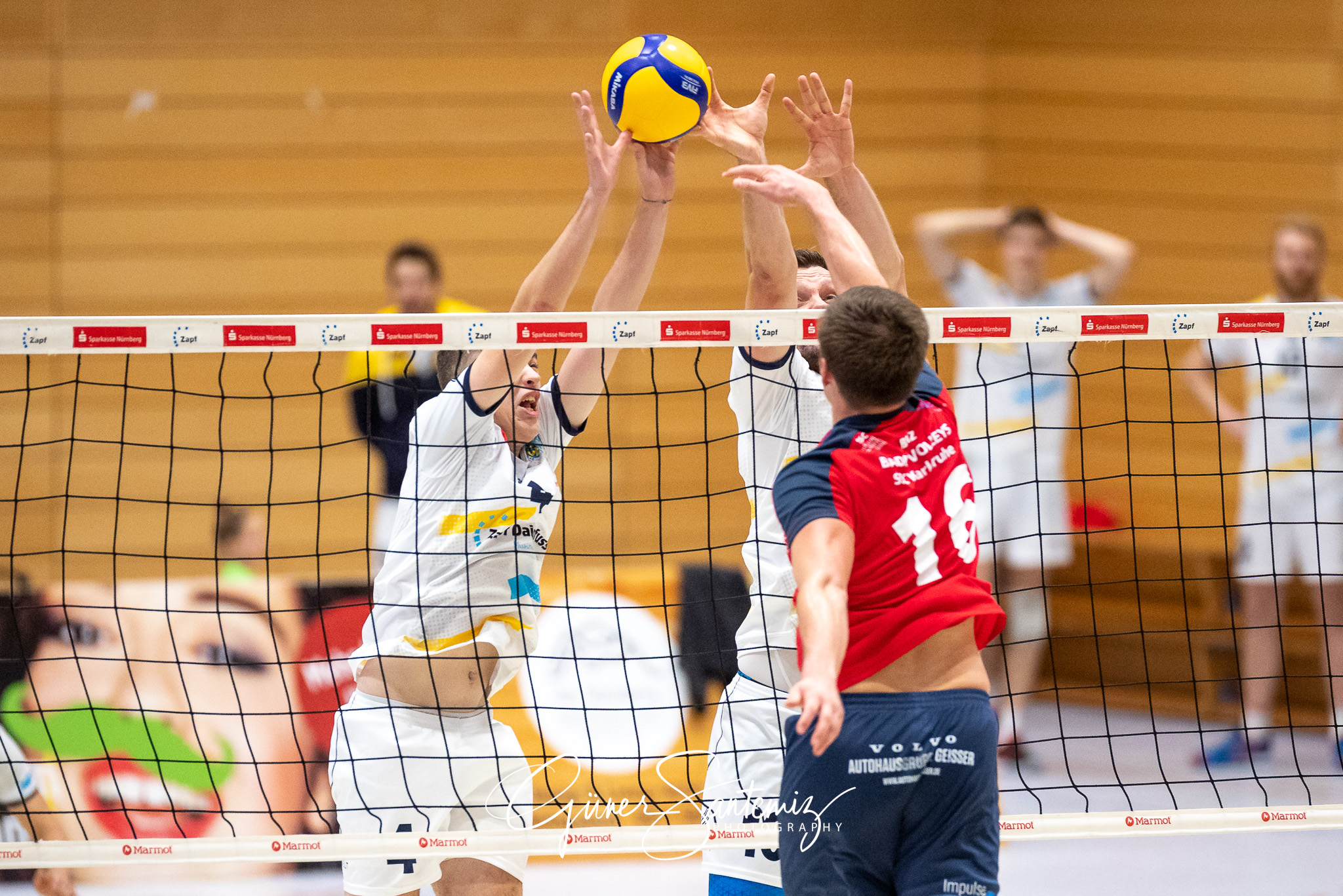 SV Schwaig - Baden Volleys SSC Karlsruhe - Volleyball - 2. Bunde