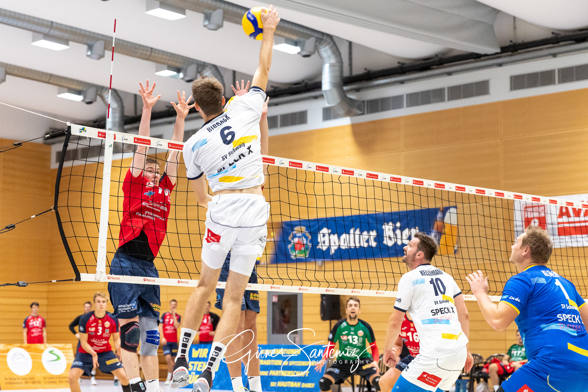 SV Schwaig - Baden Volleys SSC Karlsruhe - Volleyball - 2. Bunde