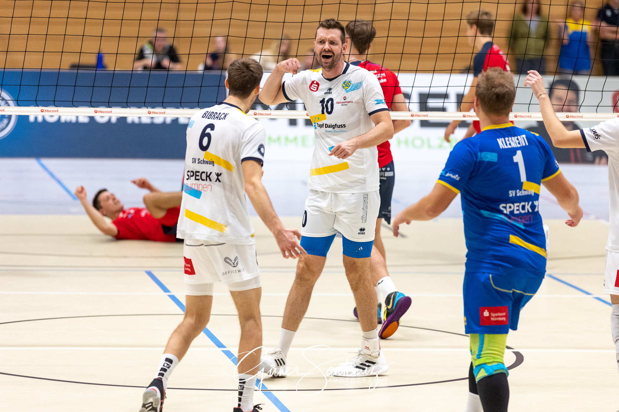 SV Schwaig - Baden Volleys SSC Karlsruhe - Volleyball - 2. Bunde