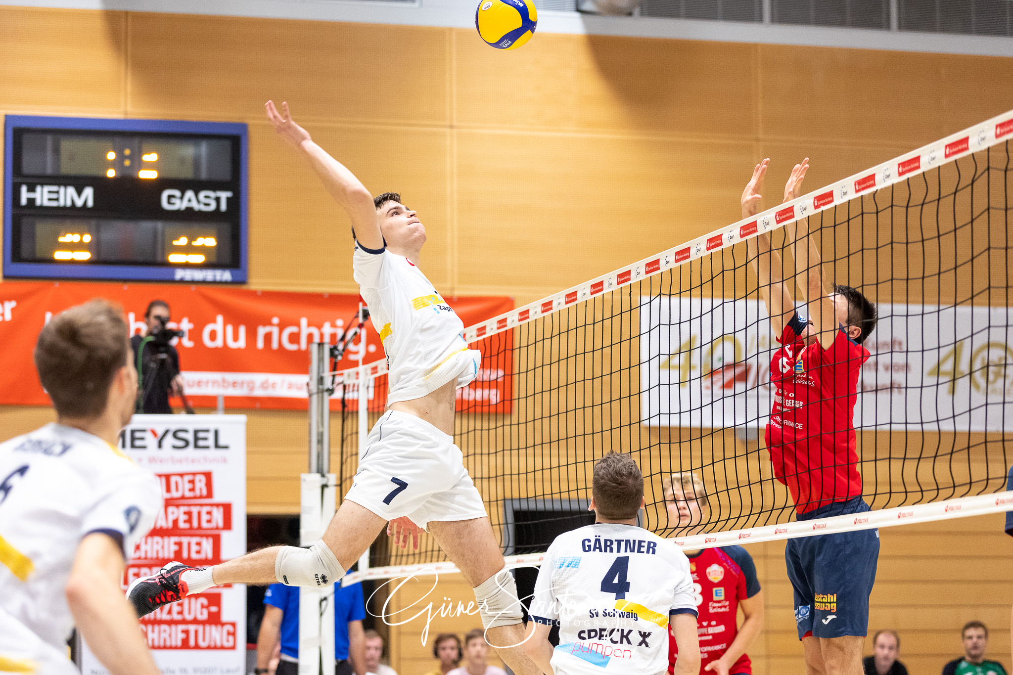 SV Schwaig - Baden Volleys SSC Karlsruhe - Volleyball - 2. Bunde