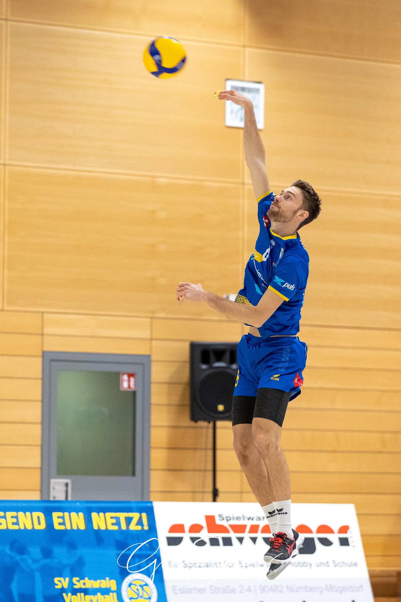 SV Schwaig - ASV Dachau - Volleyball - 2. Bundesliga Sued - 8. S