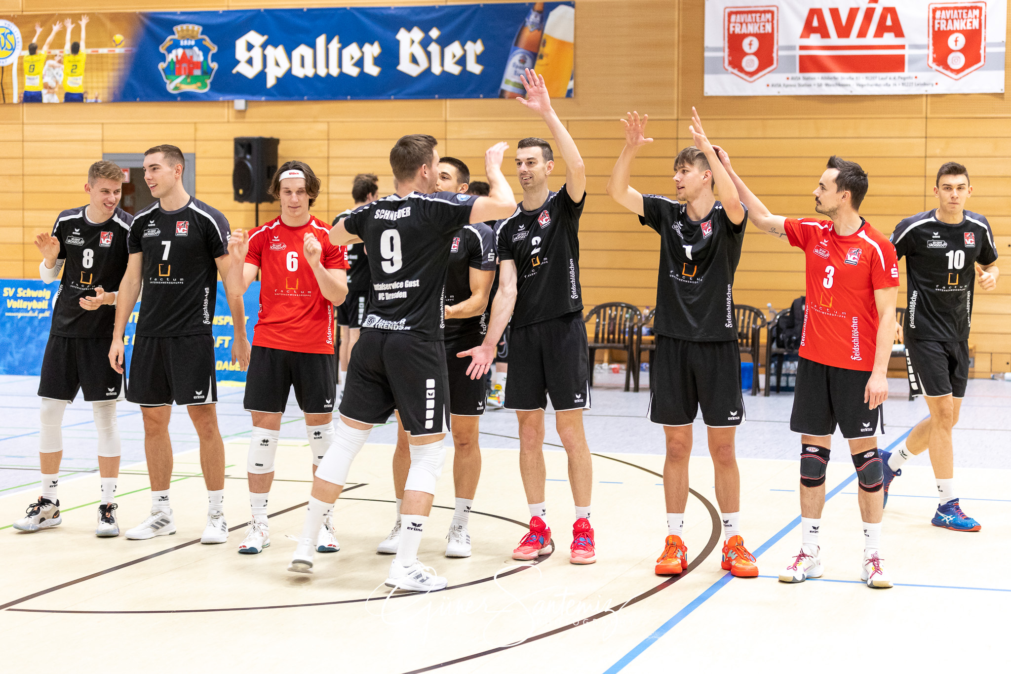 SV Schwaig vs. Dentalservice Gust VC Dresden - Volleyball - 2. B