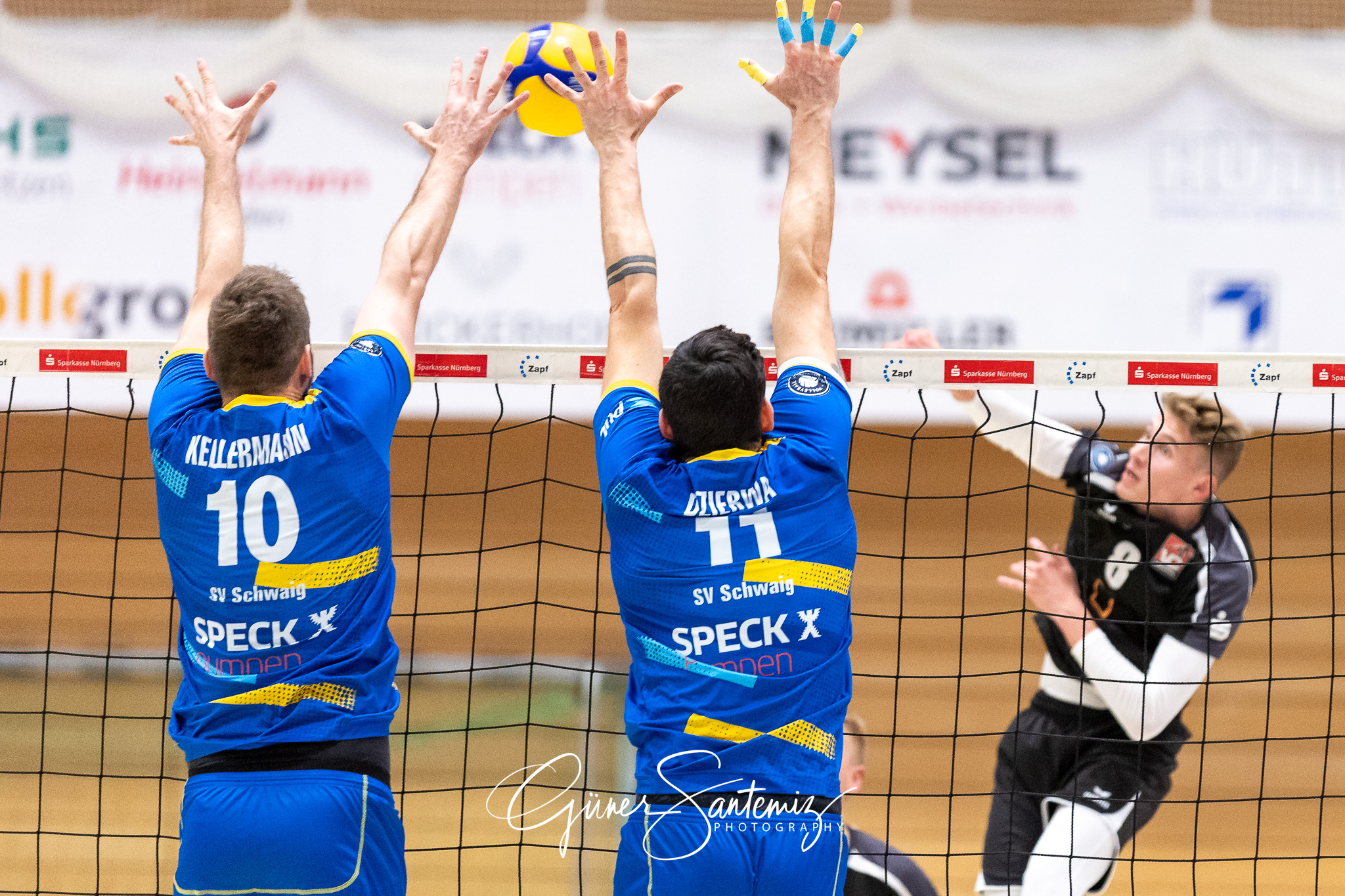 SV Schwaig vs. Dentalservice Gust VC Dresden - Volleyball - 2. B
