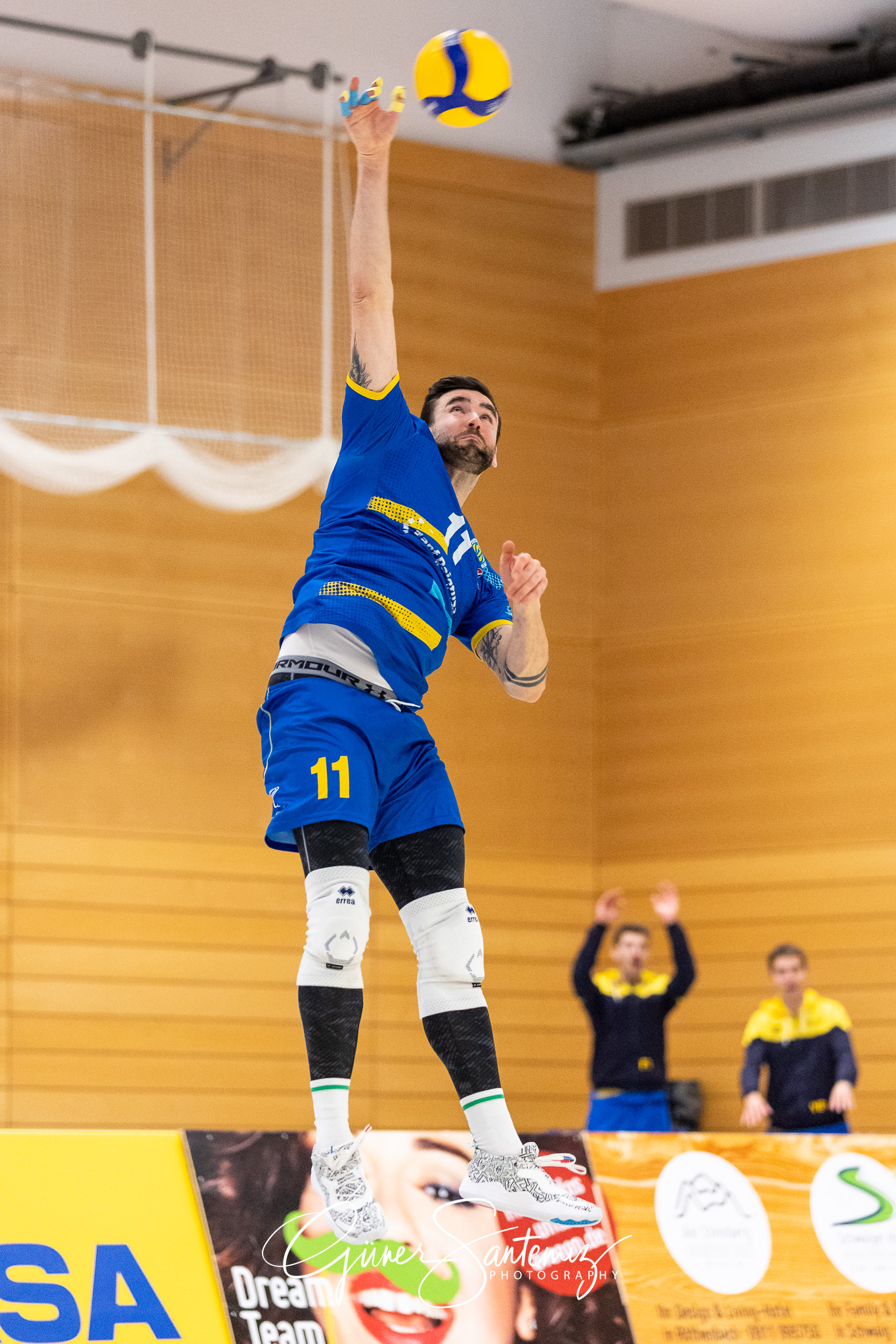 SV Schwaig vs. Dentalservice Gust VC Dresden - Volleyball - 2. B