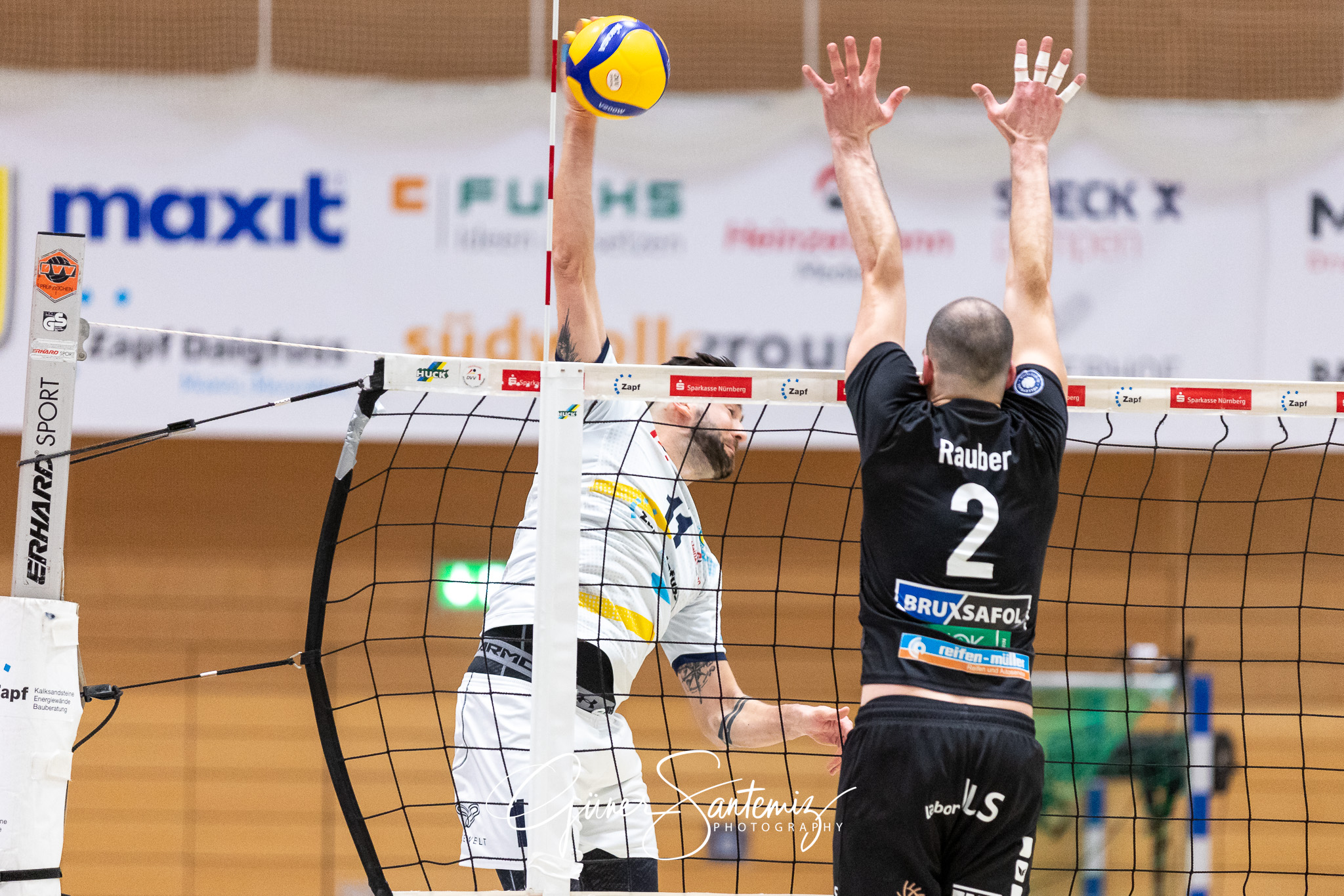SV Schwaig vs. TV/DJK Hammelburg - Volleyball - 2. Bundesliga Su