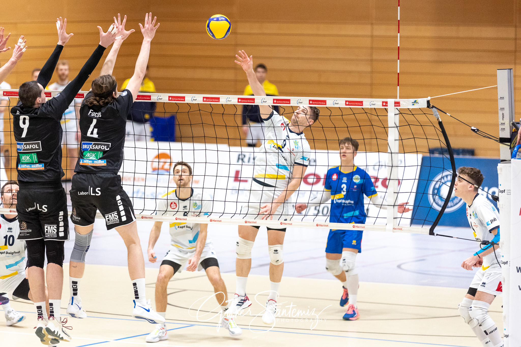 SV Schwaig vs. TV/DJK Hammelburg - Volleyball - 2. Bundesliga Su