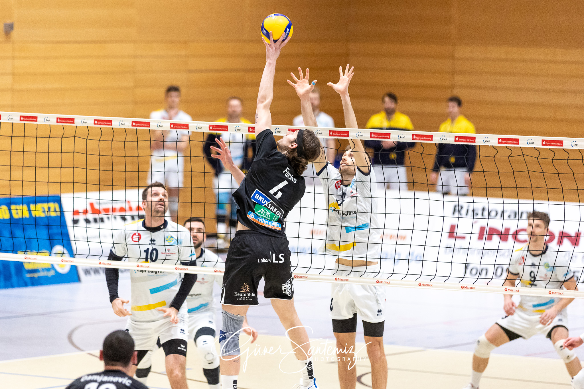 SV Schwaig vs. TV/DJK Hammelburg - Volleyball - 2. Bundesliga Su