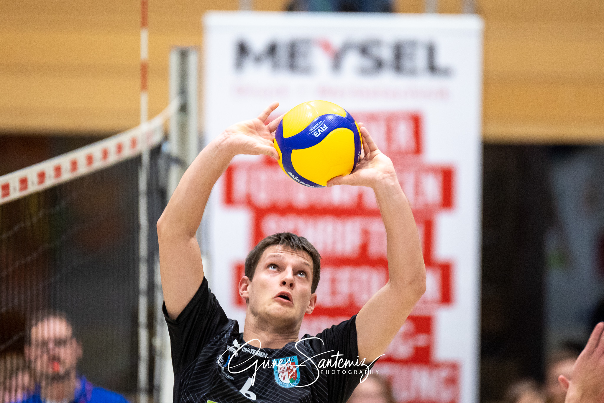 SV Schwaig vs. TV/DJK Hammelburg - Volleyball - 2. Bundesliga Su
