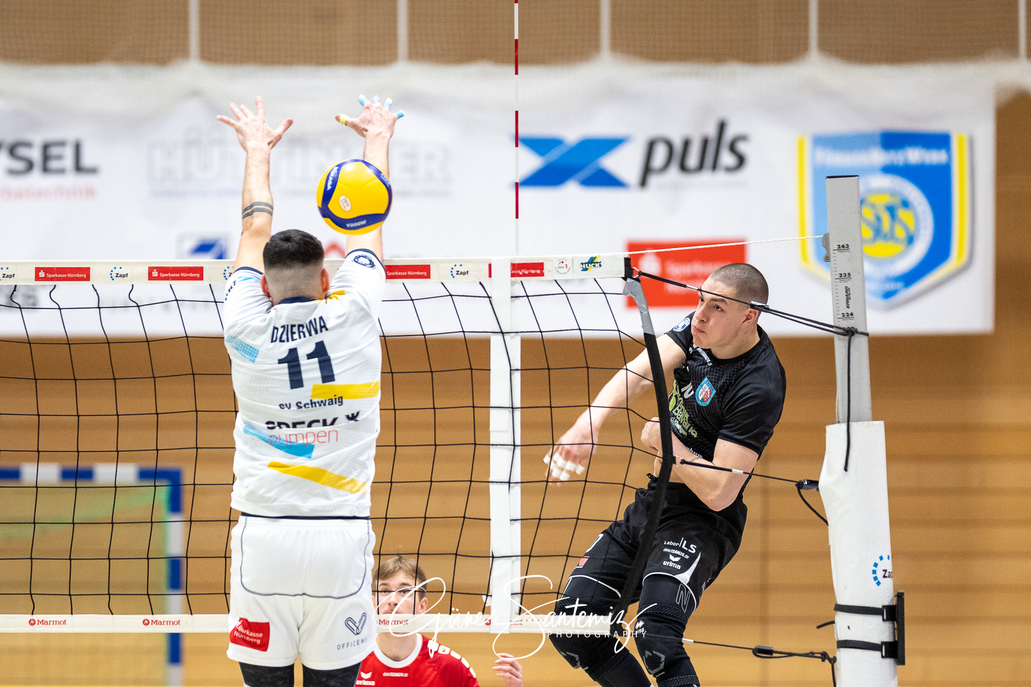 SV Schwaig vs. TV/DJK Hammelburg - Volleyball - 2. Bundesliga Su