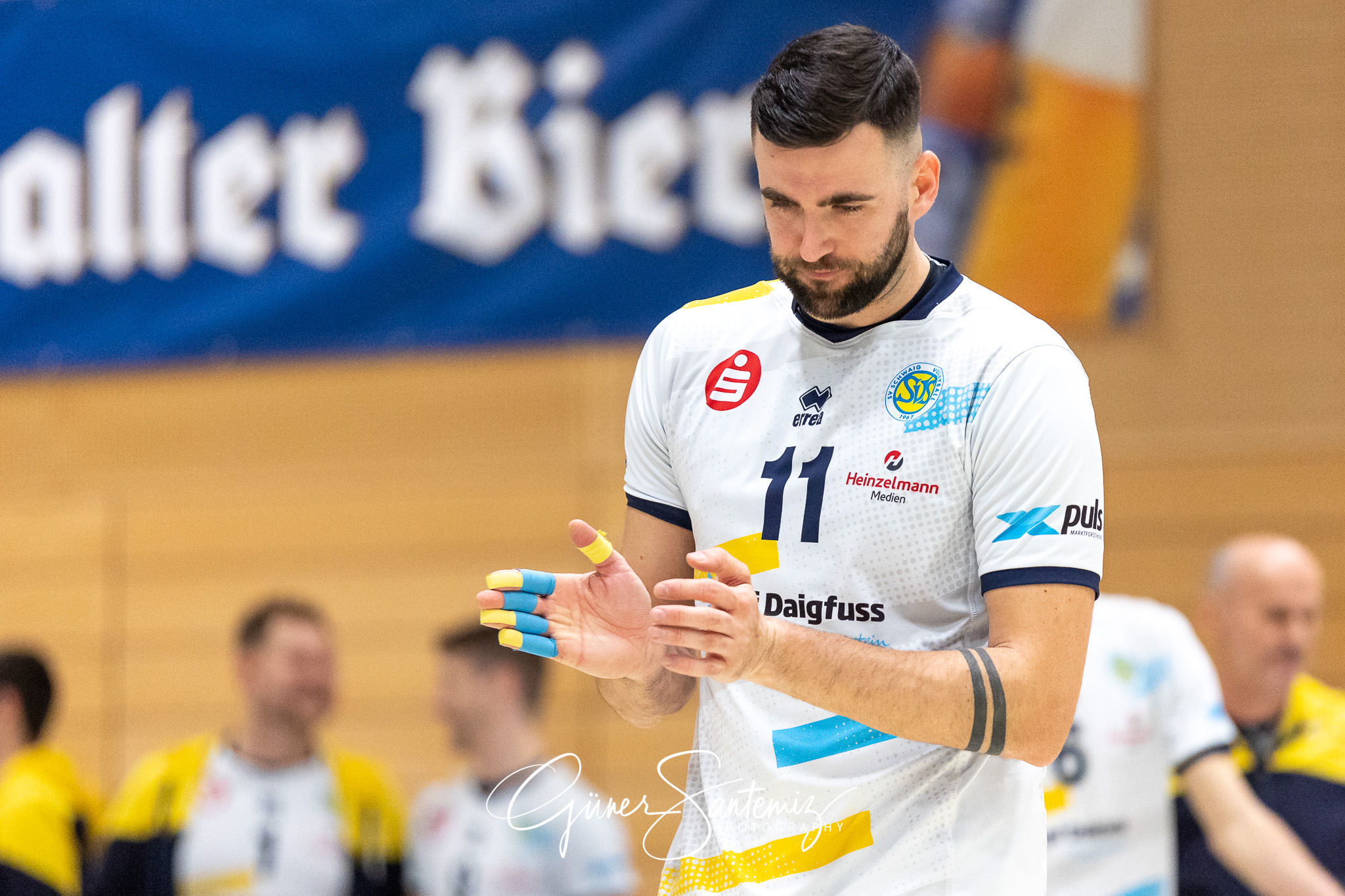 SV Schwaig vs. TV/DJK Hammelburg - Volleyball - 2. Bundesliga Su