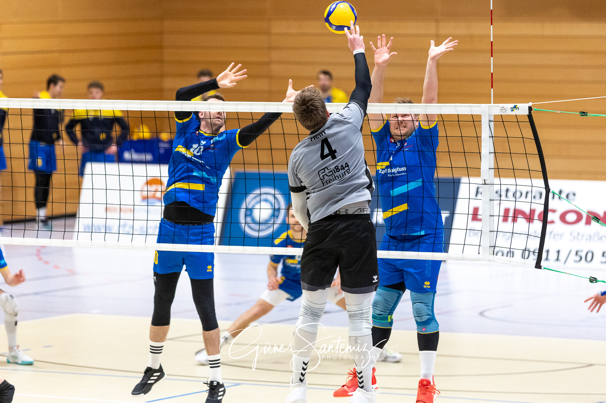 SV Schwaig vs. FT 1844 Freiburg - Volleyball - 2. Bundesliga Sue