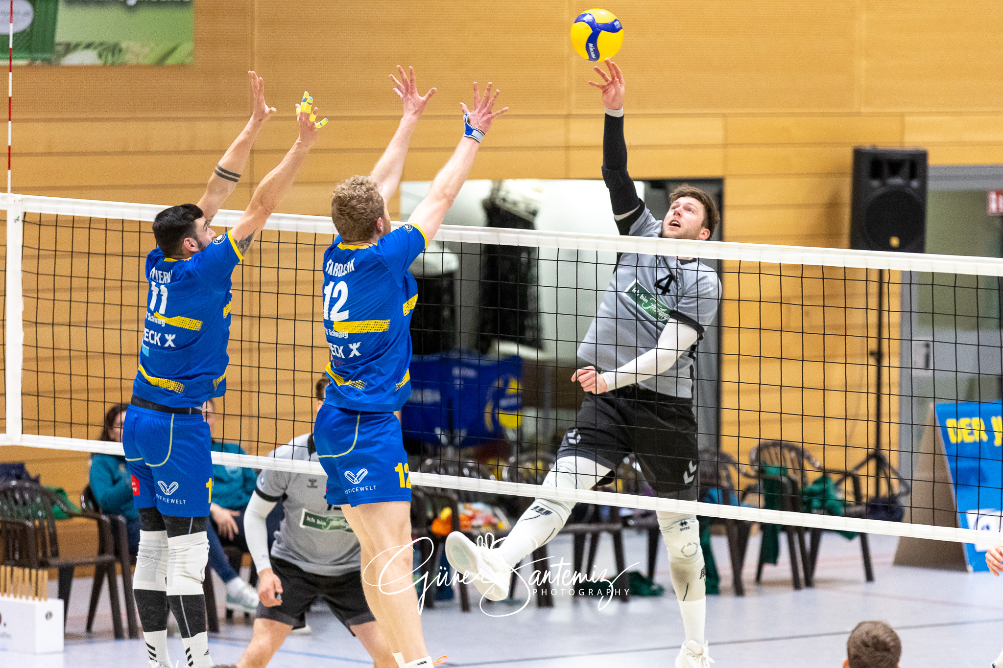 SV Schwaig vs. FT 1844 Freiburg - Volleyball - 2. Bundesliga Sue