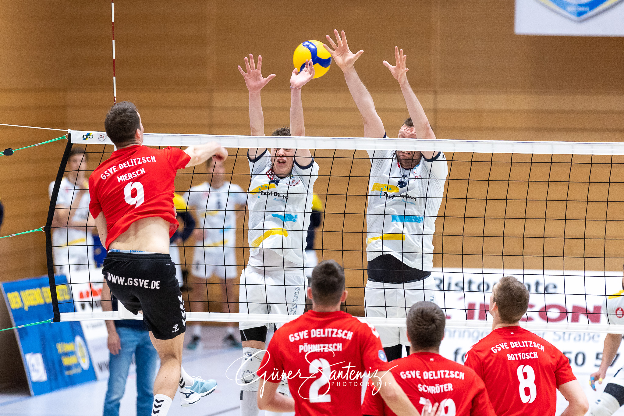 SV Schwaig vs. GSVE Delitzsch - Volleyball - 2. Bundesliga Sued