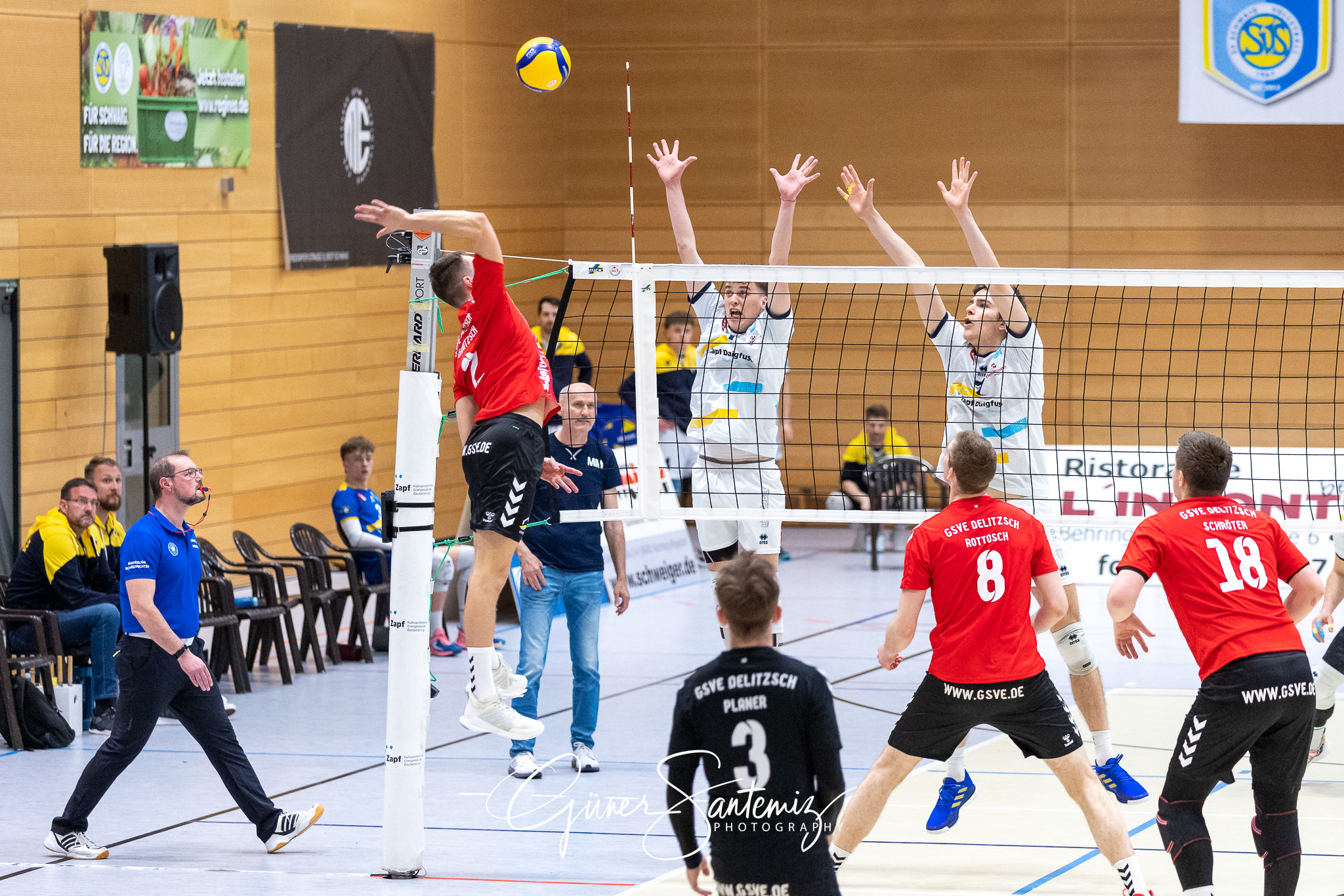 SV Schwaig vs. GSVE Delitzsch - Volleyball - 2. Bundesliga Sued