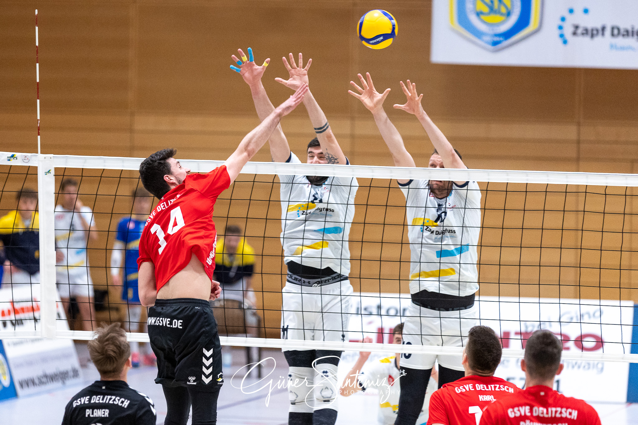 SV Schwaig vs. GSVE Delitzsch - Volleyball - 2. Bundesliga Sued