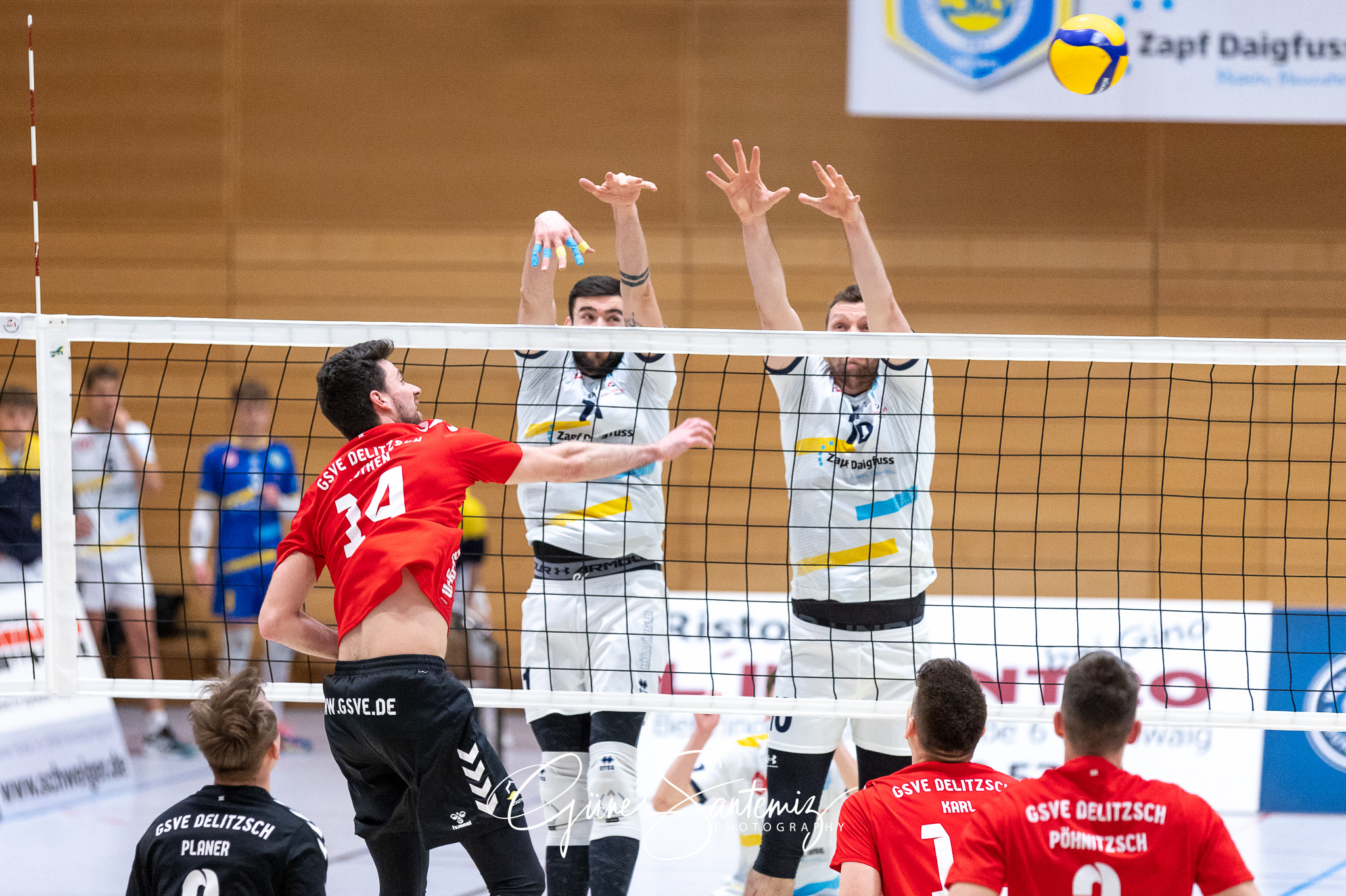 SV Schwaig vs. GSVE Delitzsch - Volleyball - 2. Bundesliga Sued