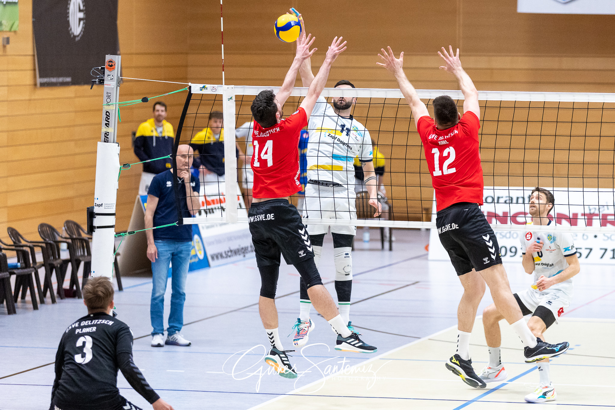SV Schwaig vs. GSVE Delitzsch - Volleyball - 2. Bundesliga Sued