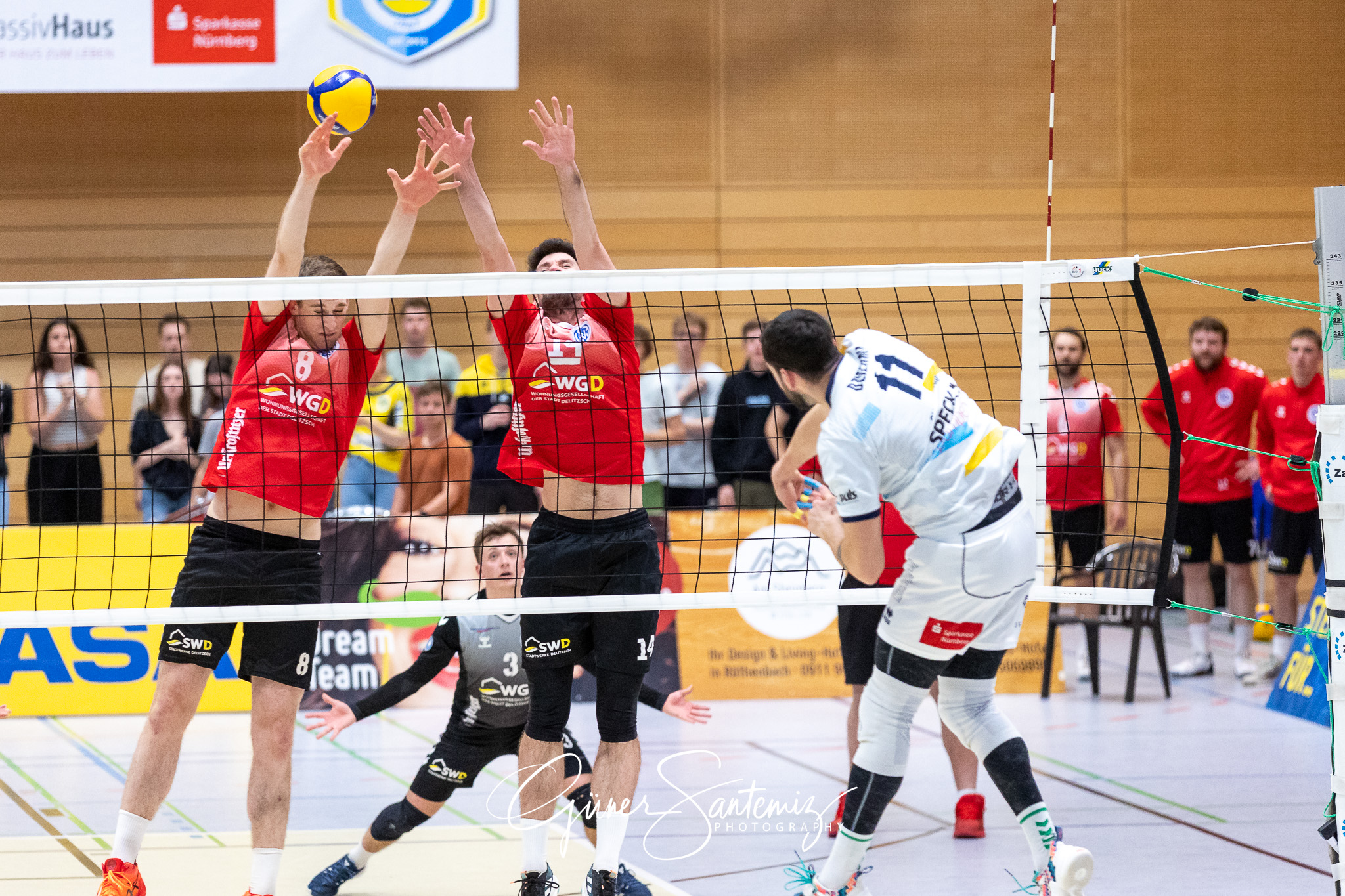SV Schwaig vs. GSVE Delitzsch - Volleyball - 2. Bundesliga Sued