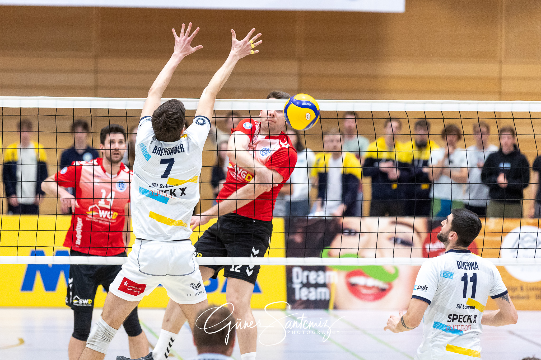 SV Schwaig vs. GSVE Delitzsch - Volleyball - 2. Bundesliga Sued