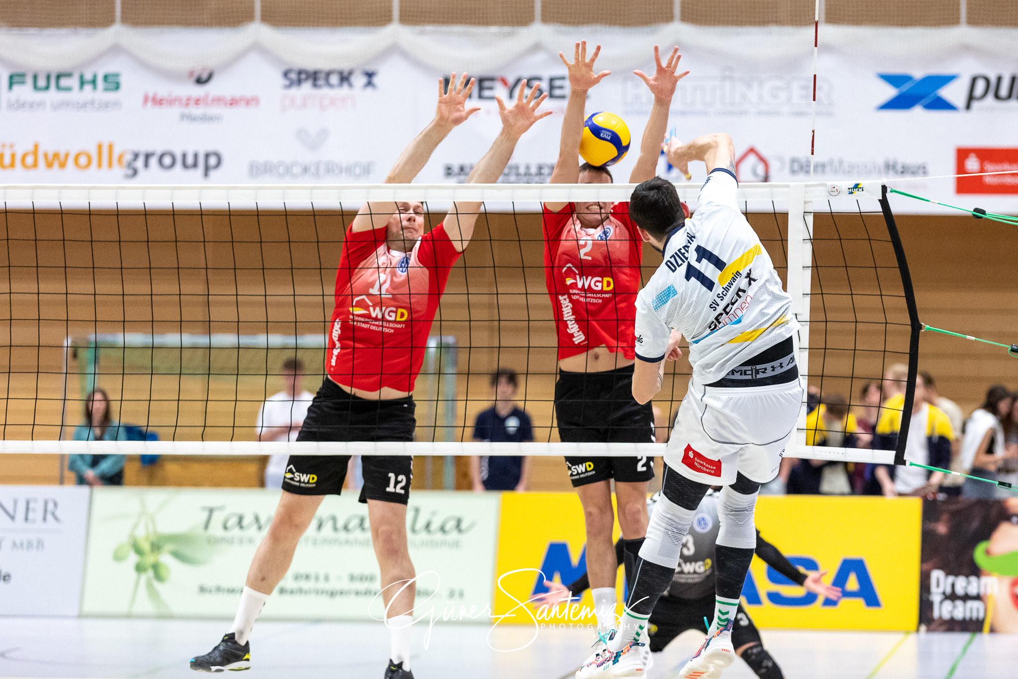 SV Schwaig vs. GSVE Delitzsch - Volleyball - 2. Bundesliga Sued