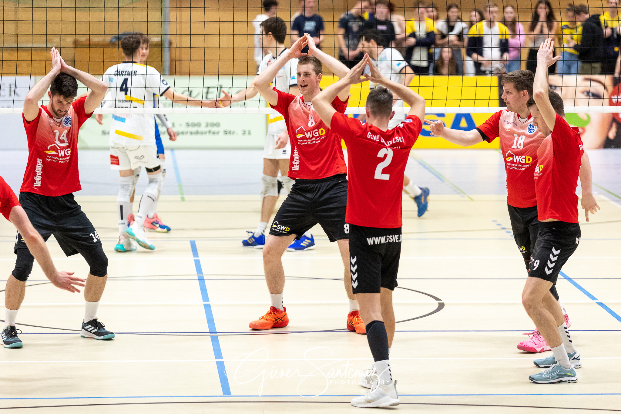 SV Schwaig vs. GSVE Delitzsch - Volleyball - 2. Bundesliga Sued