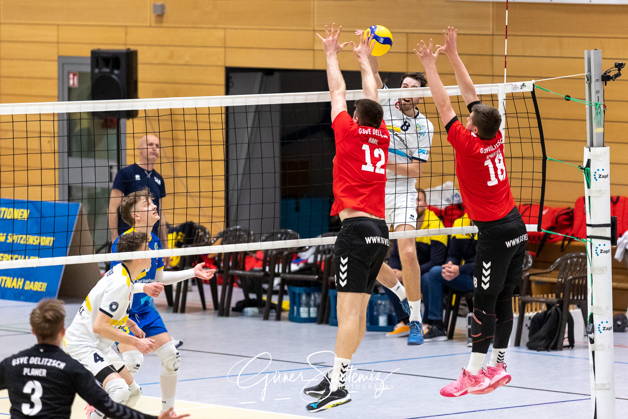 SV Schwaig vs. GSVE Delitzsch - Volleyball - 2. Bundesliga Sued