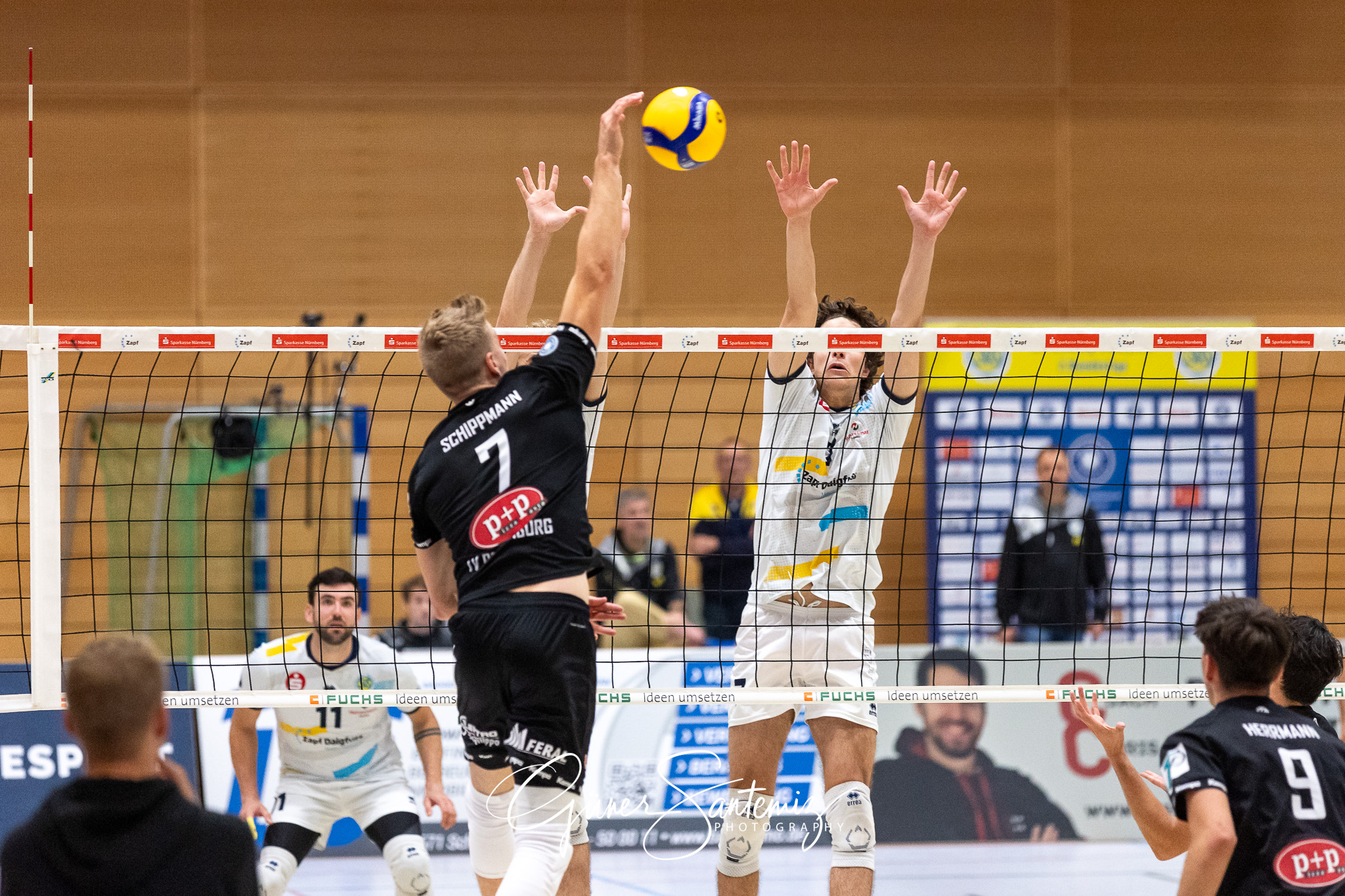 SV Schwaig Volleyball - TV Rottenburg - Volleyball - 2. Bundesli