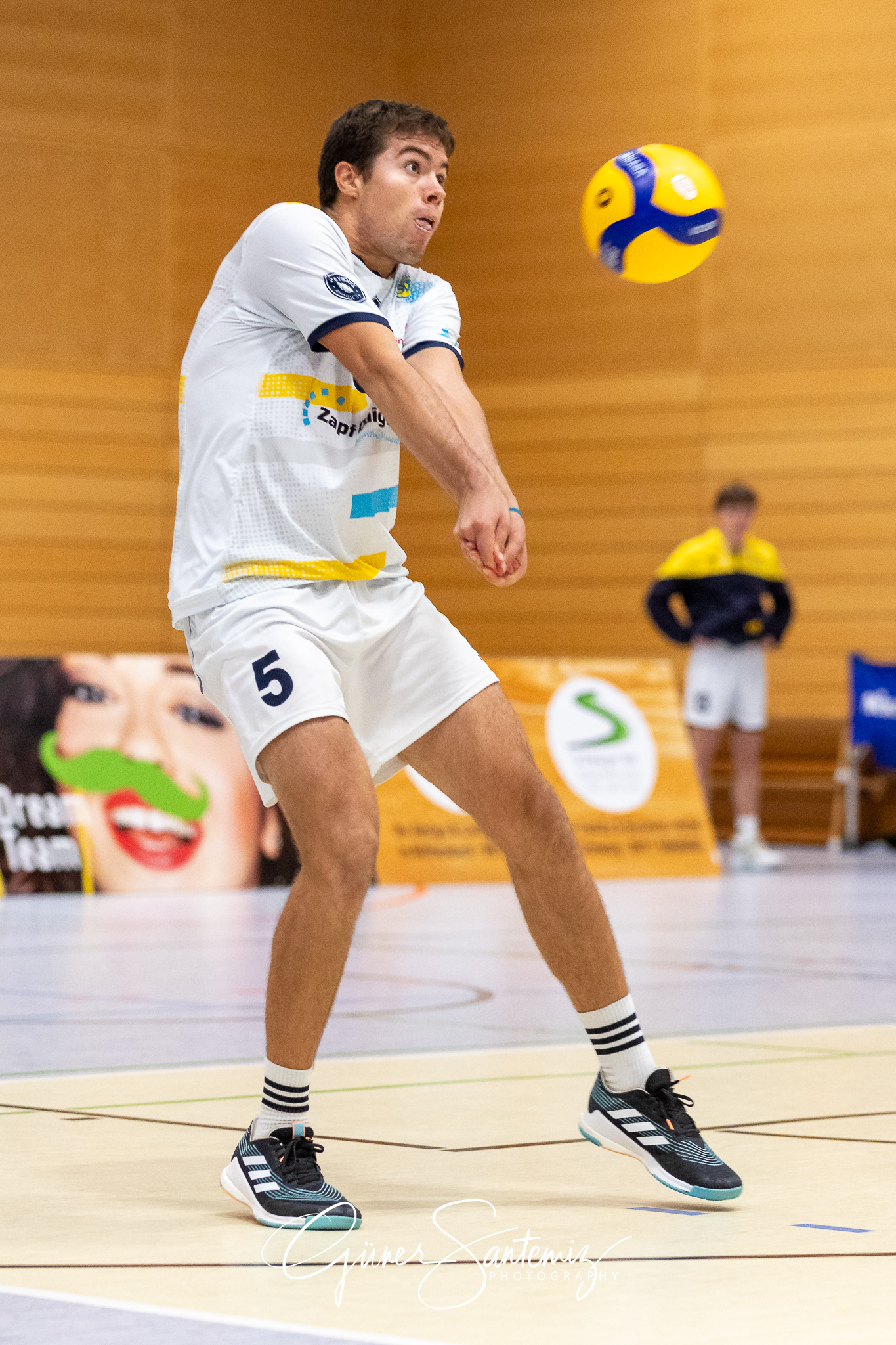 SV Schwaig Volleyball - TV Rottenburg - Volleyball - 2. Bundesli