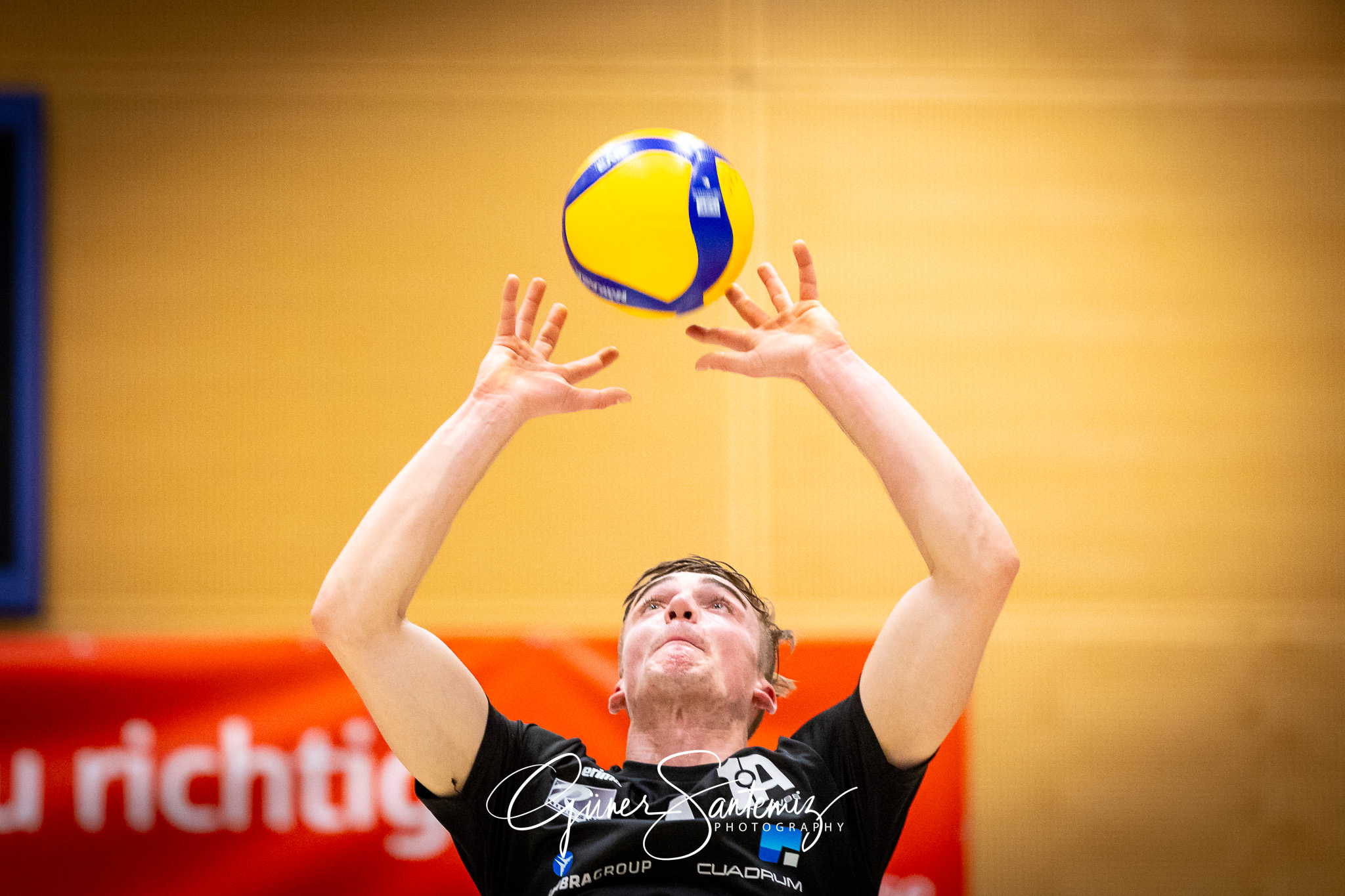 SV Schwaig Volleyball - VC Eltmann - Volleyball - 2. Bundesliga