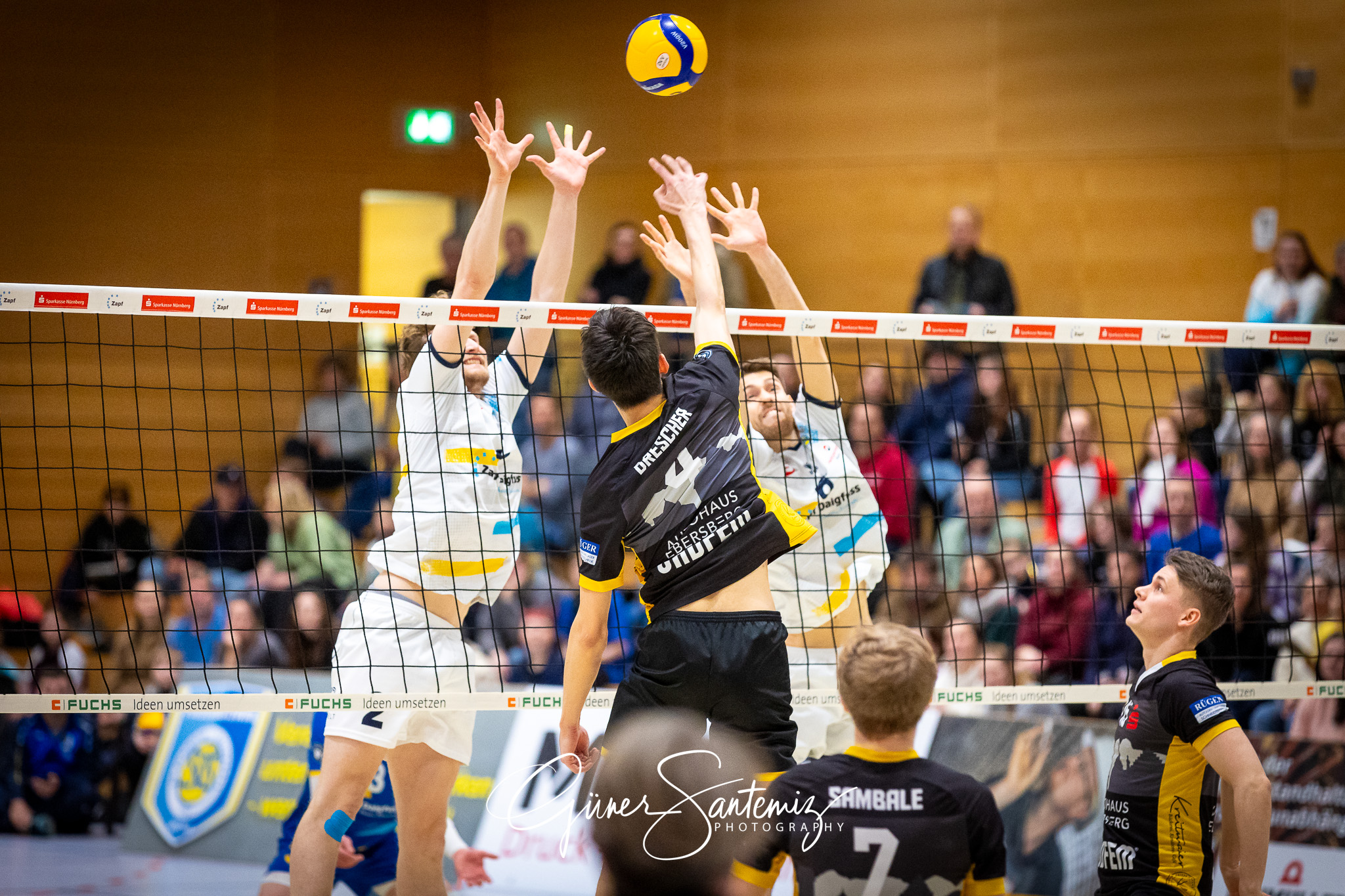 SV Schwaig Volleyball - TSV Grafing - Volleyball - 2. Bundesliga