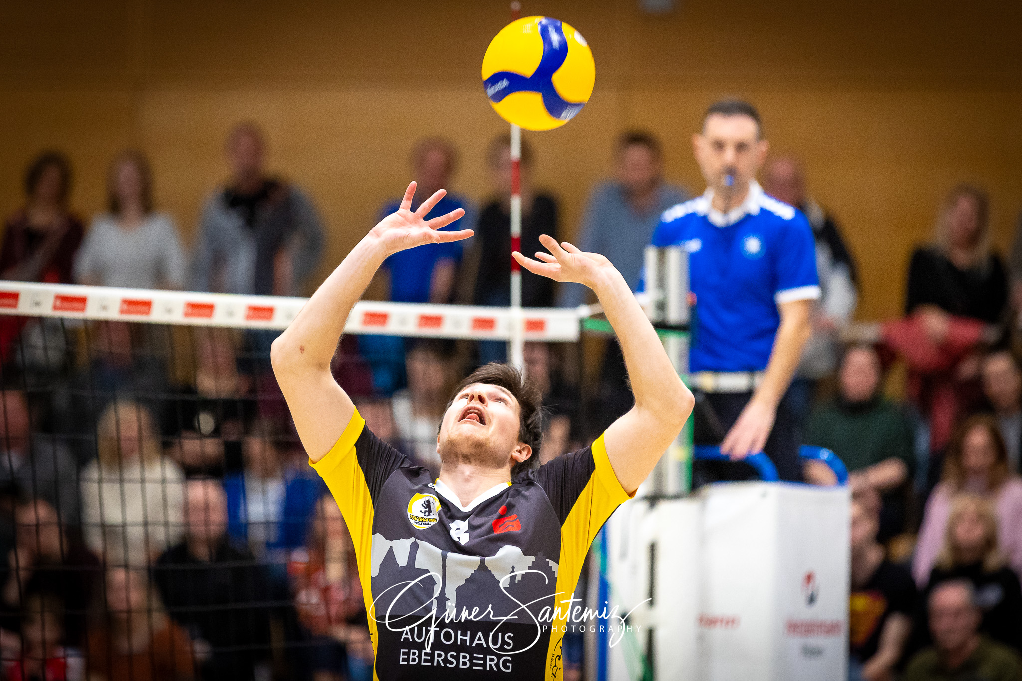 SV Schwaig Volleyball - TSV Grafing - Volleyball - 2. Bundesliga