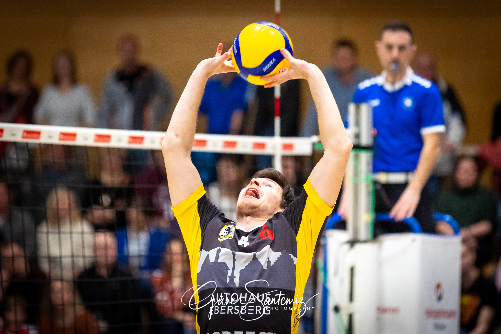 SV Schwaig Volleyball - TSV Grafing - Volleyball - 2. Bundesliga