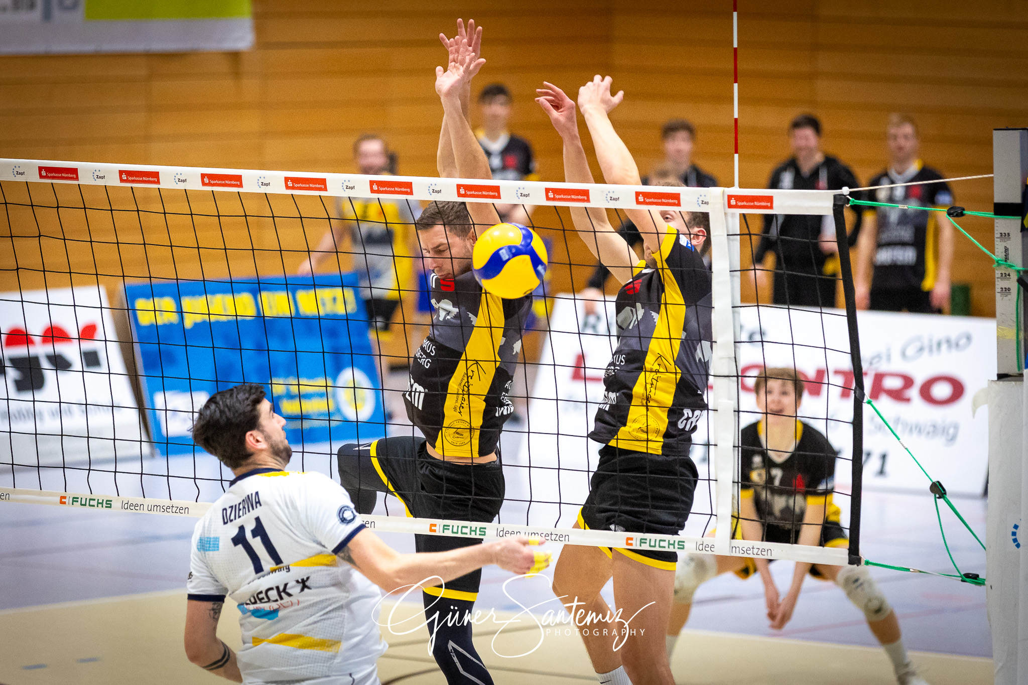 SV Schwaig Volleyball - TSV Grafing - Volleyball - 2. Bundesliga