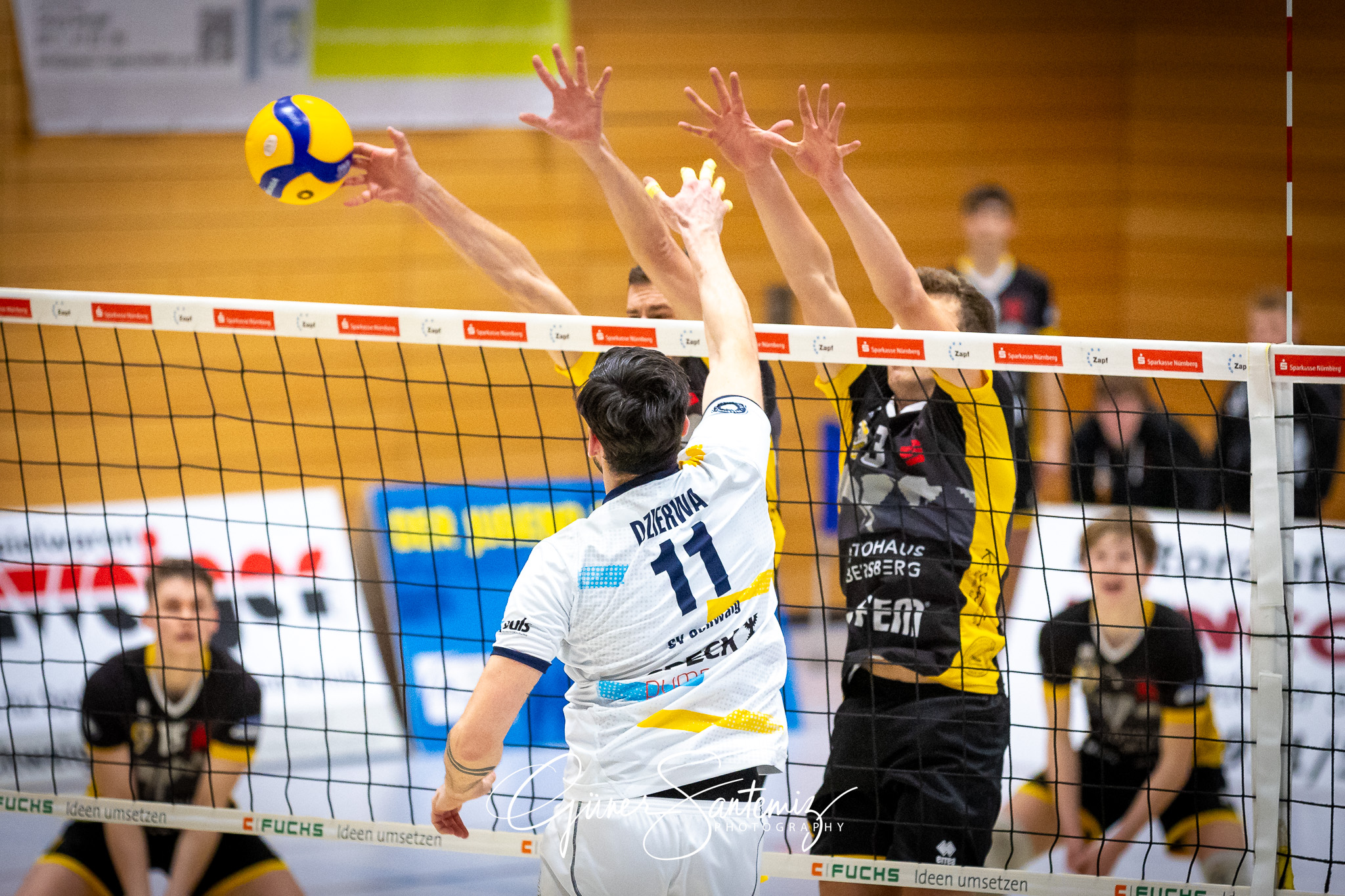 SV Schwaig Volleyball - TSV Grafing - Volleyball - 2. Bundesliga