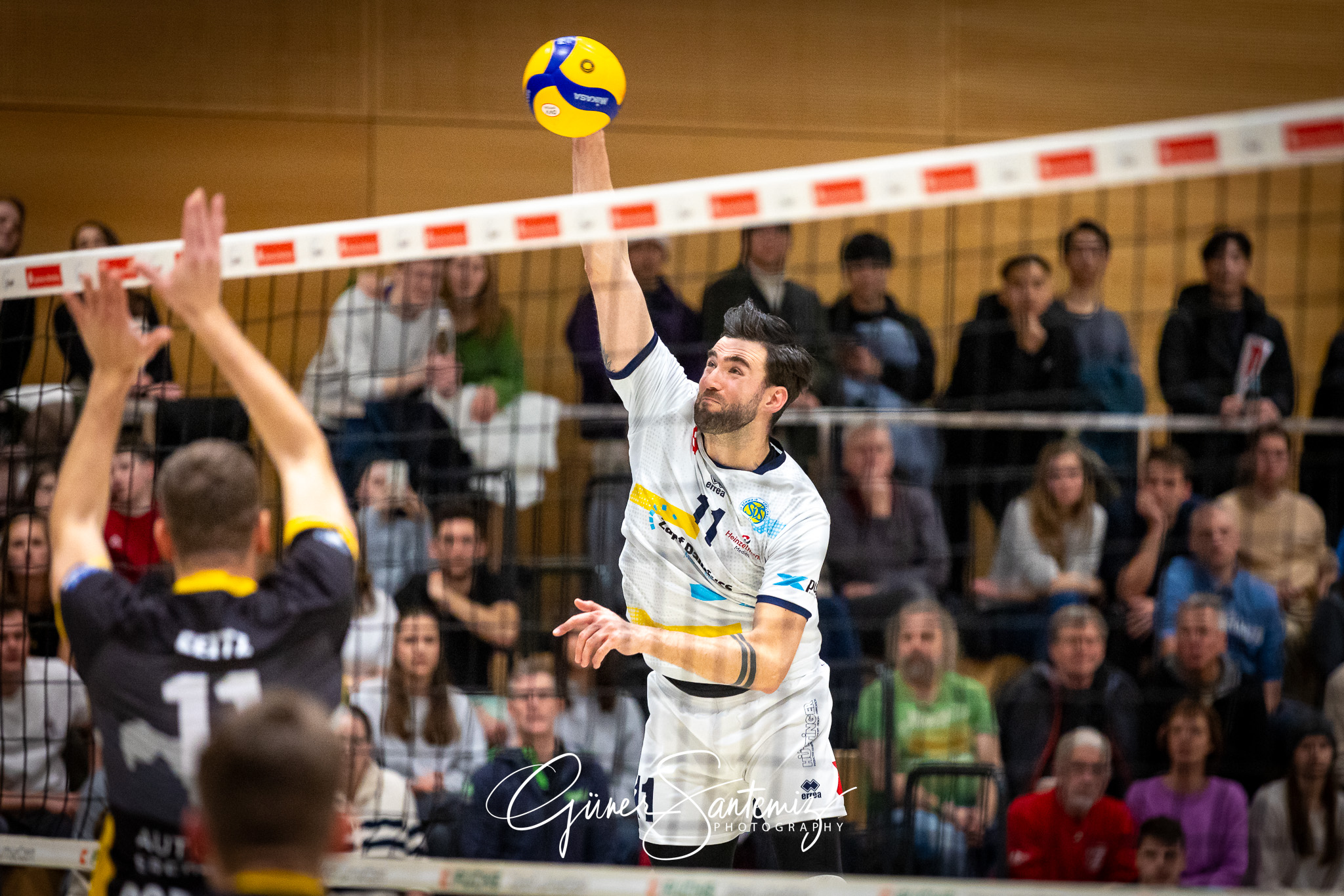 SV Schwaig Volleyball - TSV Grafing - Volleyball - 2. Bundesliga