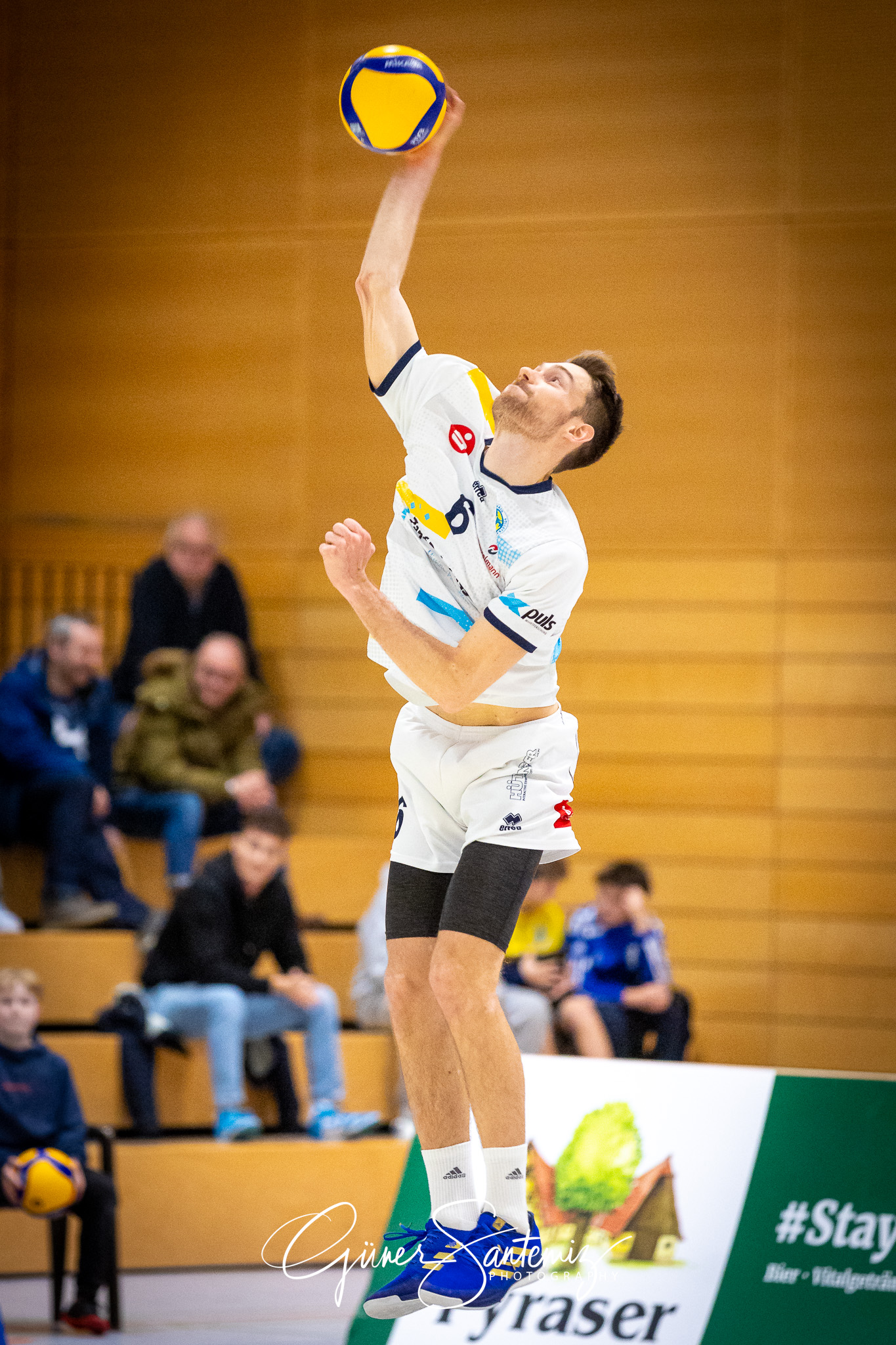 SV Schwaig Volleyball - TSV Grafing - Volleyball - 2. Bundesliga