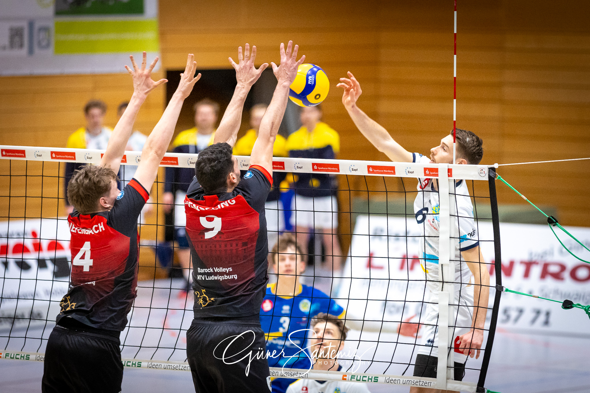 SV Schwaig Volleyball - Barock Volleys MTV Ludwigsburg - Volleyb