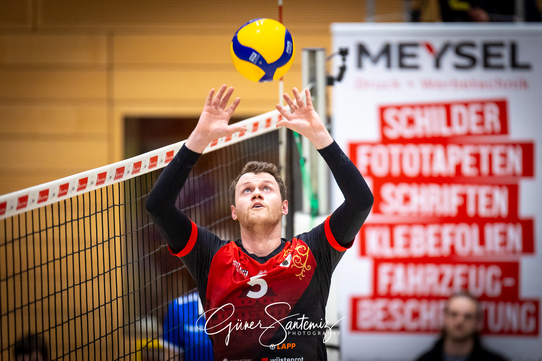 SV Schwaig Volleyball - Barock Volleys MTV Ludwigsburg - Volleyb