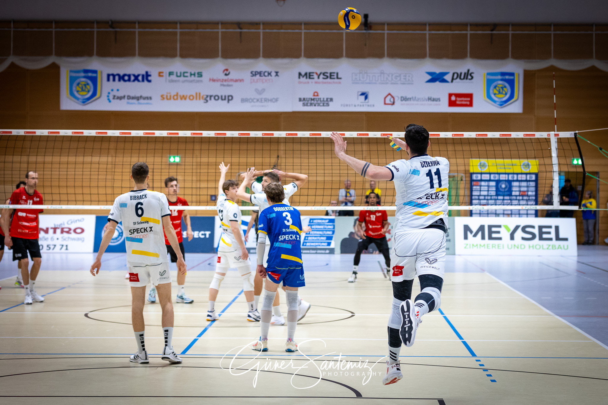 SV Schwaig Volleyball - TV Buehl - Volleyball - 2. Bundesliga Su