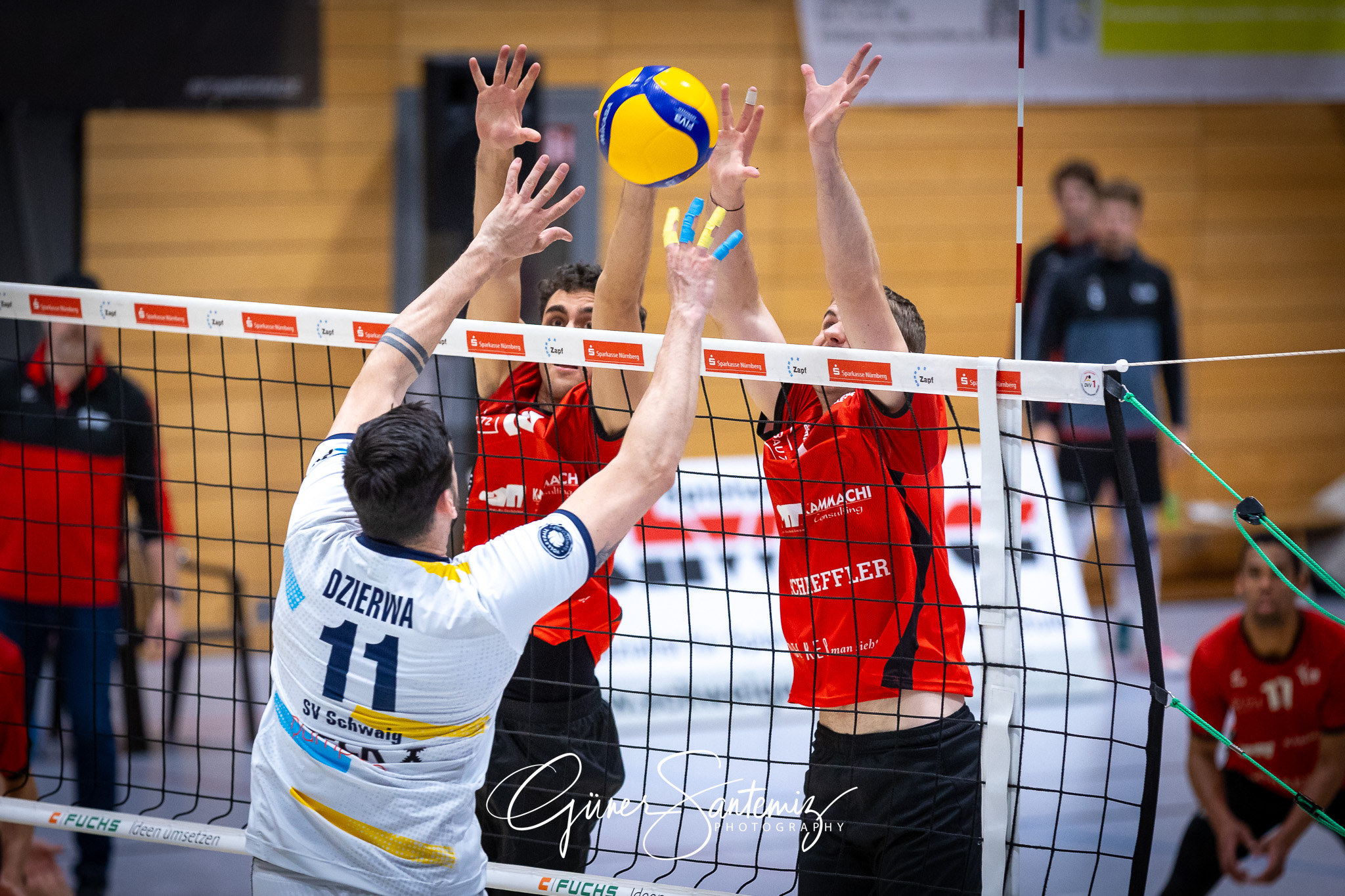 SV Schwaig Volleyball - TV Buehl - Volleyball - 2. Bundesliga Su