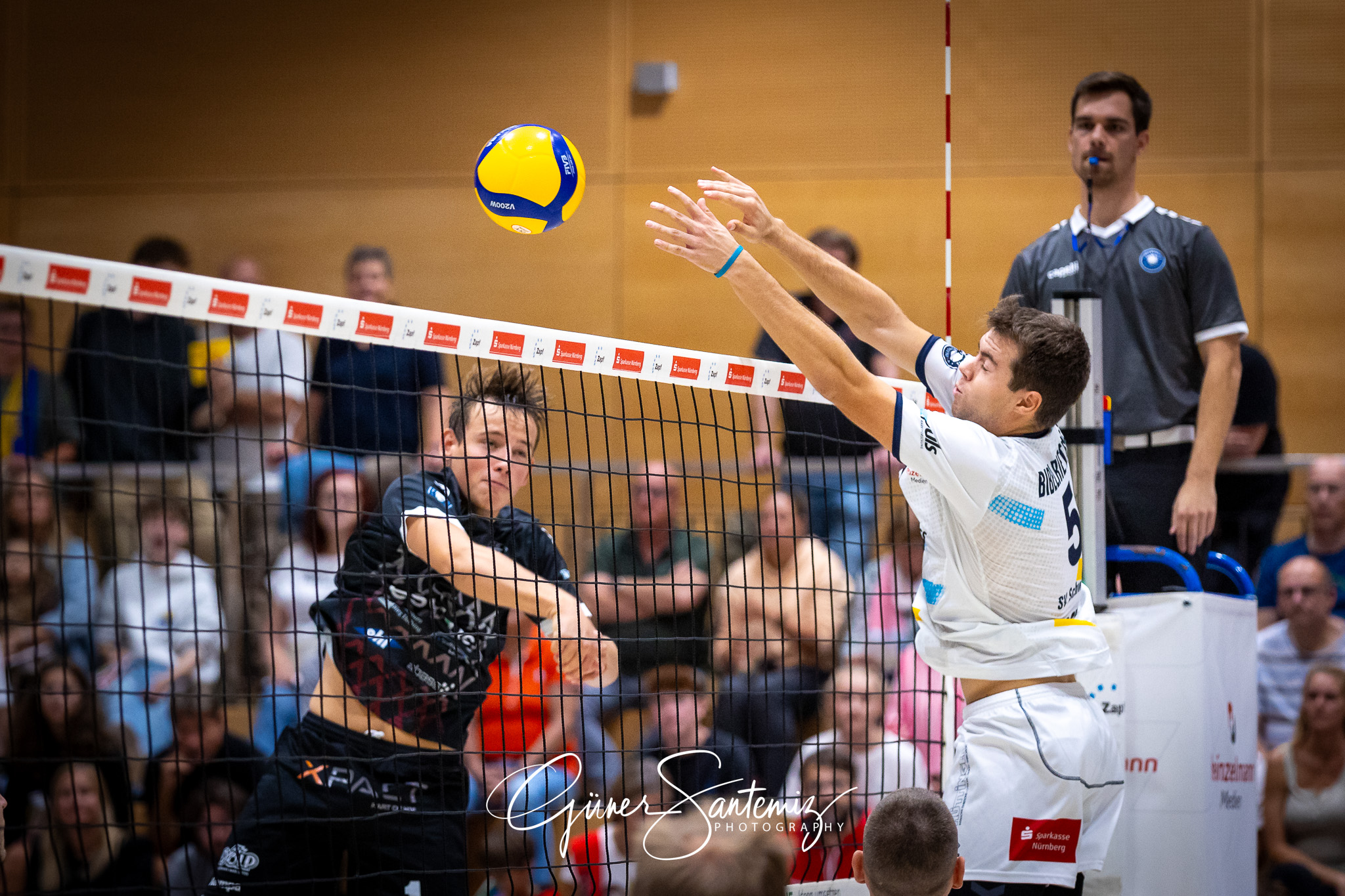 SV Schwaig Volleyball - SSG Langen - Volleyball - 2. Bundesliga
